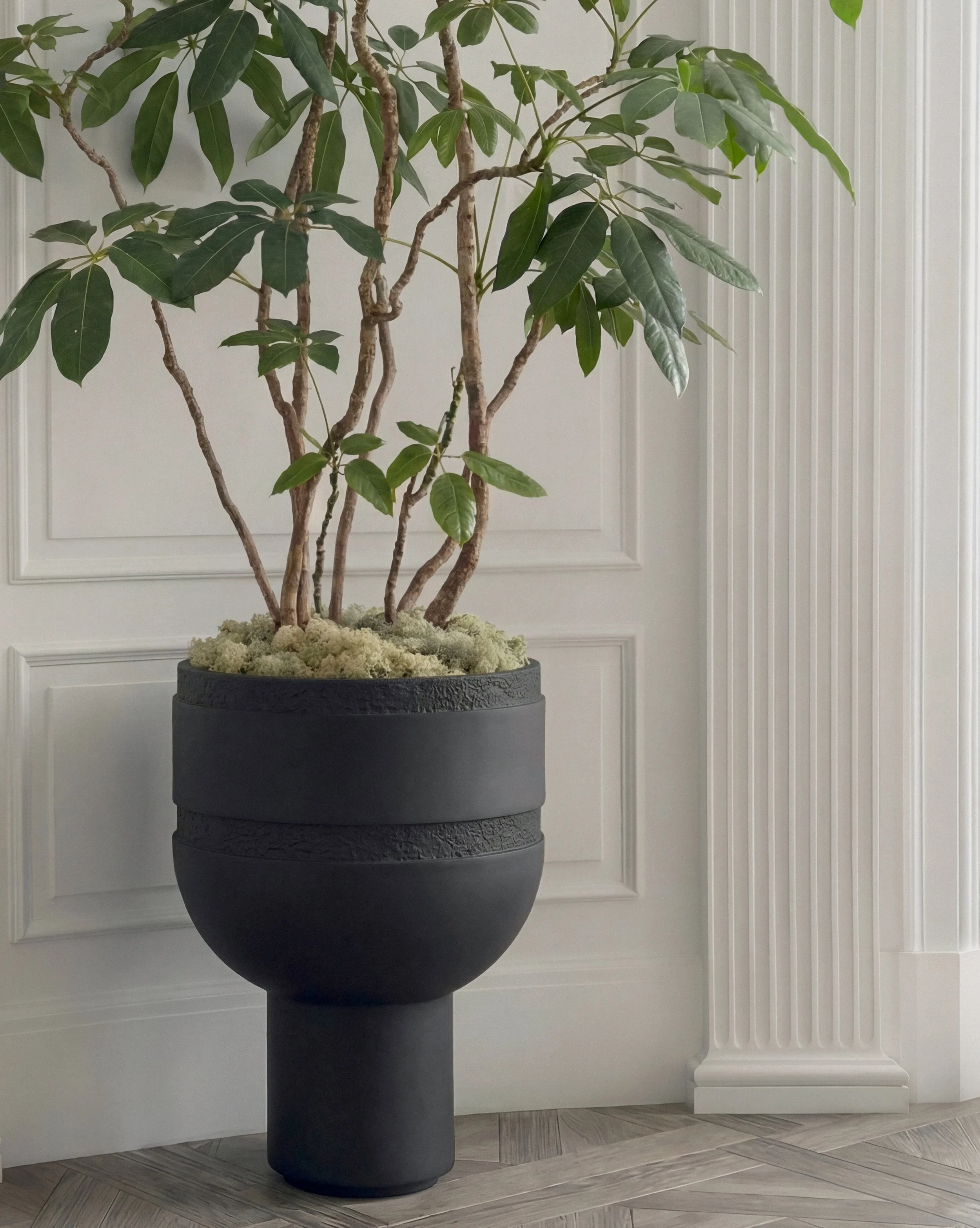 Orion Chalice InSitu.jpg