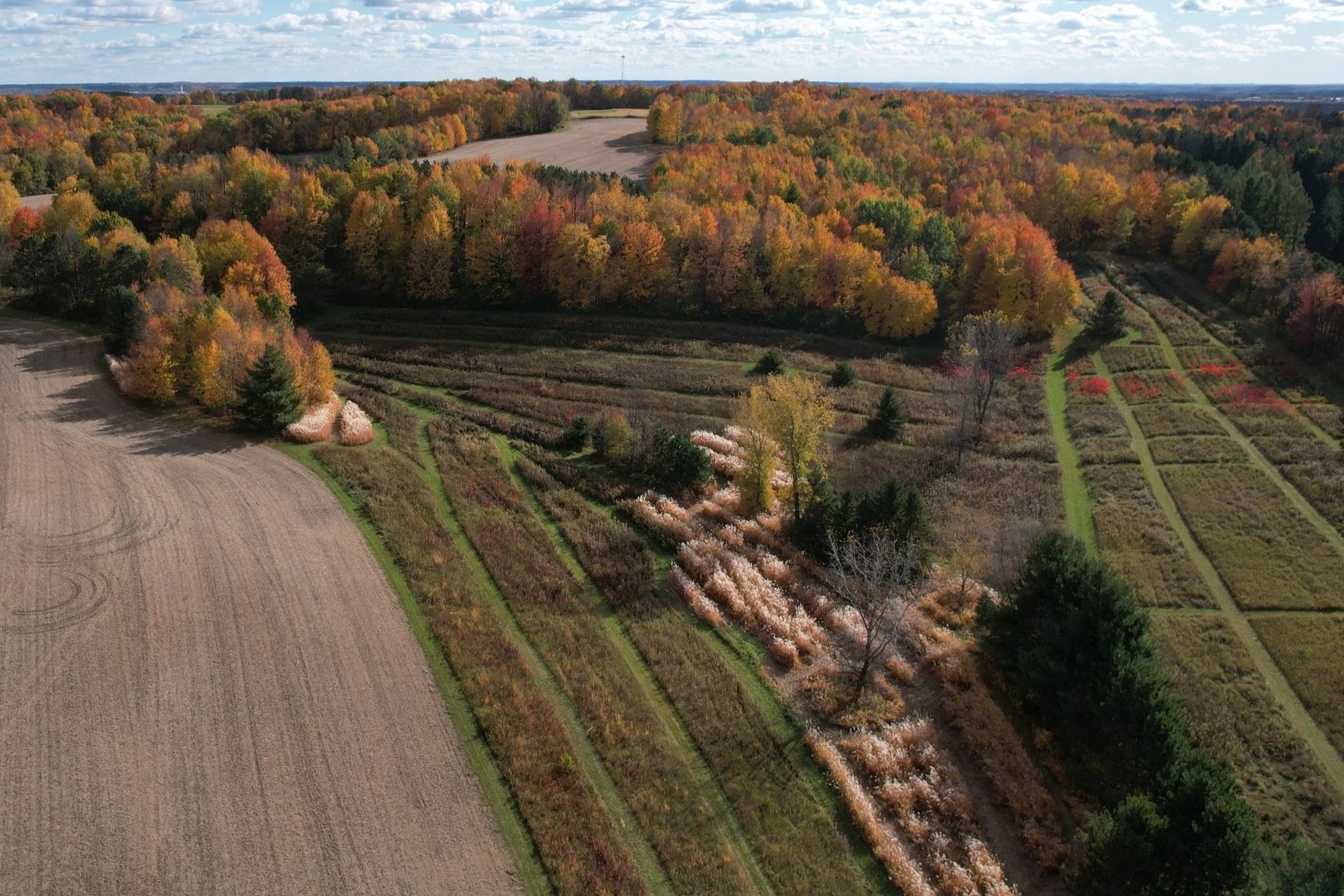 dji_fly_20251019_144832_90_1761513075185_photo.jpg