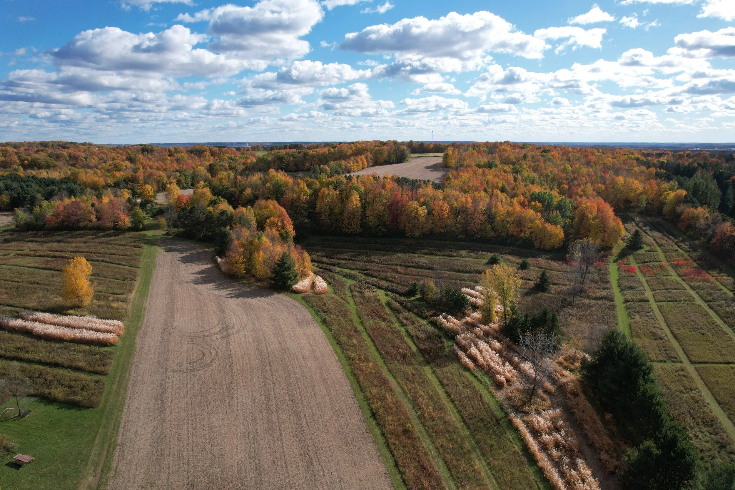dji_fly_20251019_144832_90_1761513075185_photo.jpg