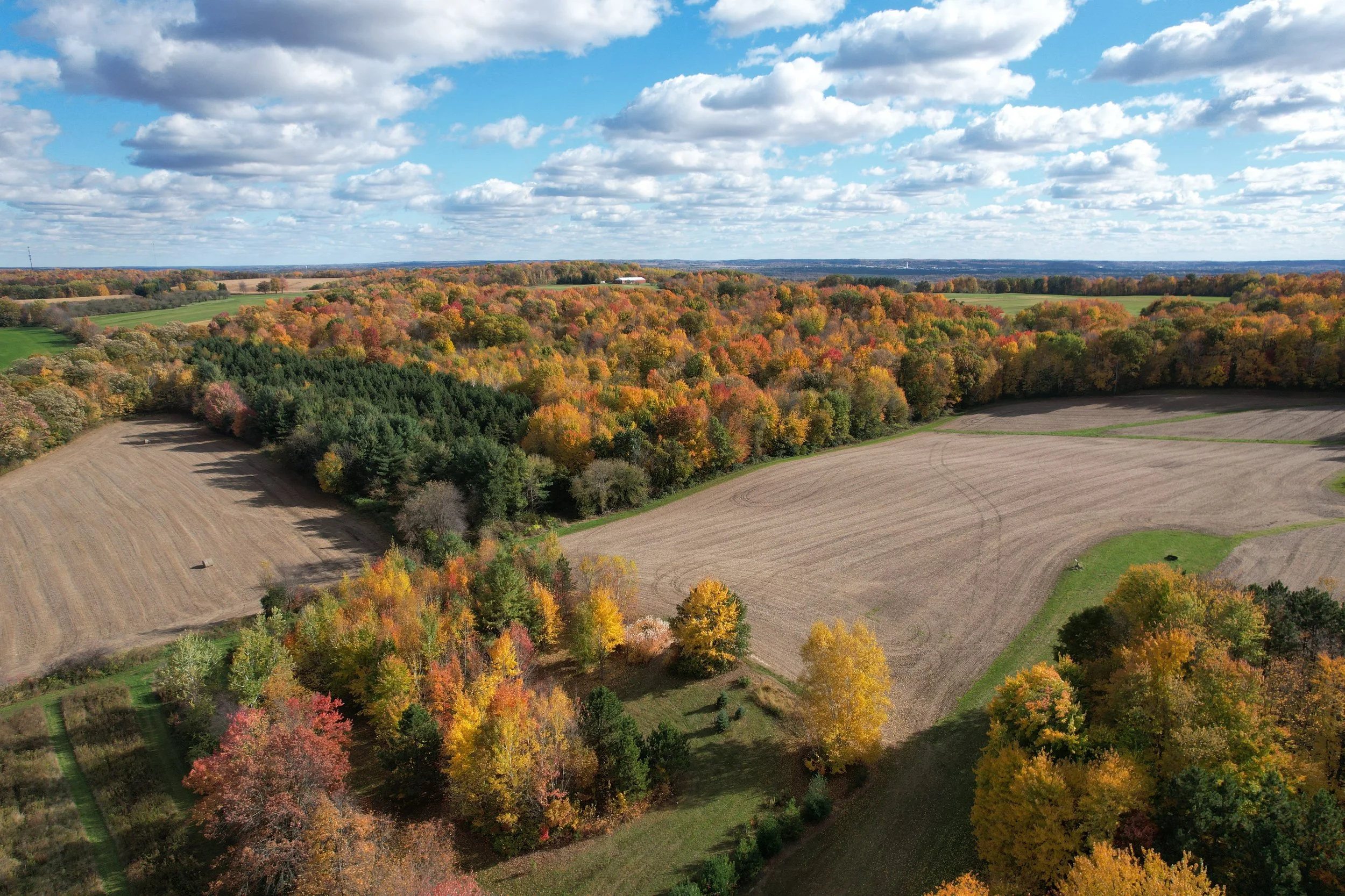dji_fly_20251019_144906_91_1761513073040_photo.jpg