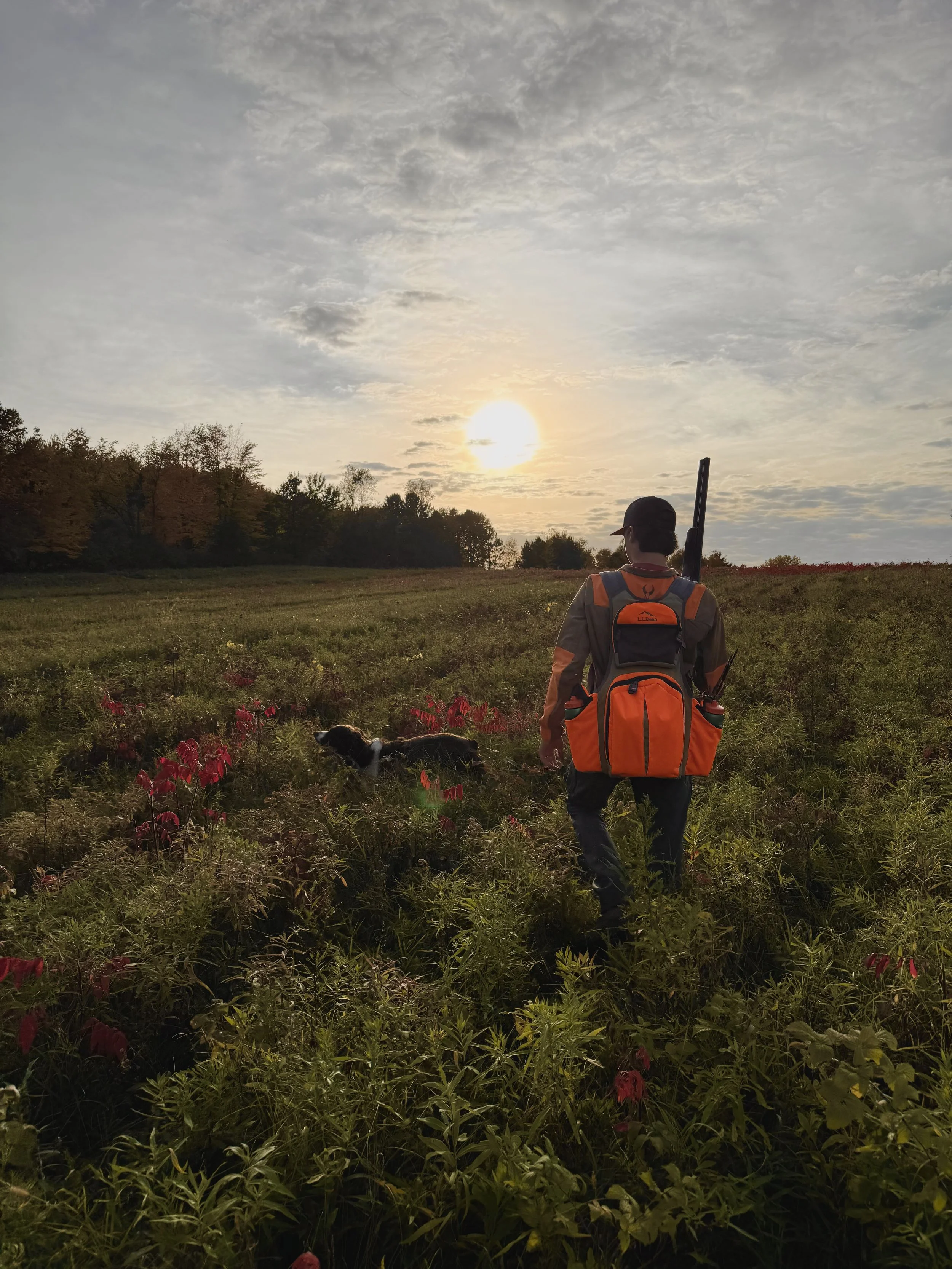 Ruger’s afternoon hunt