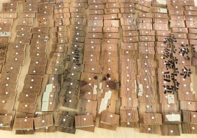 A feature in Australian Wood Review