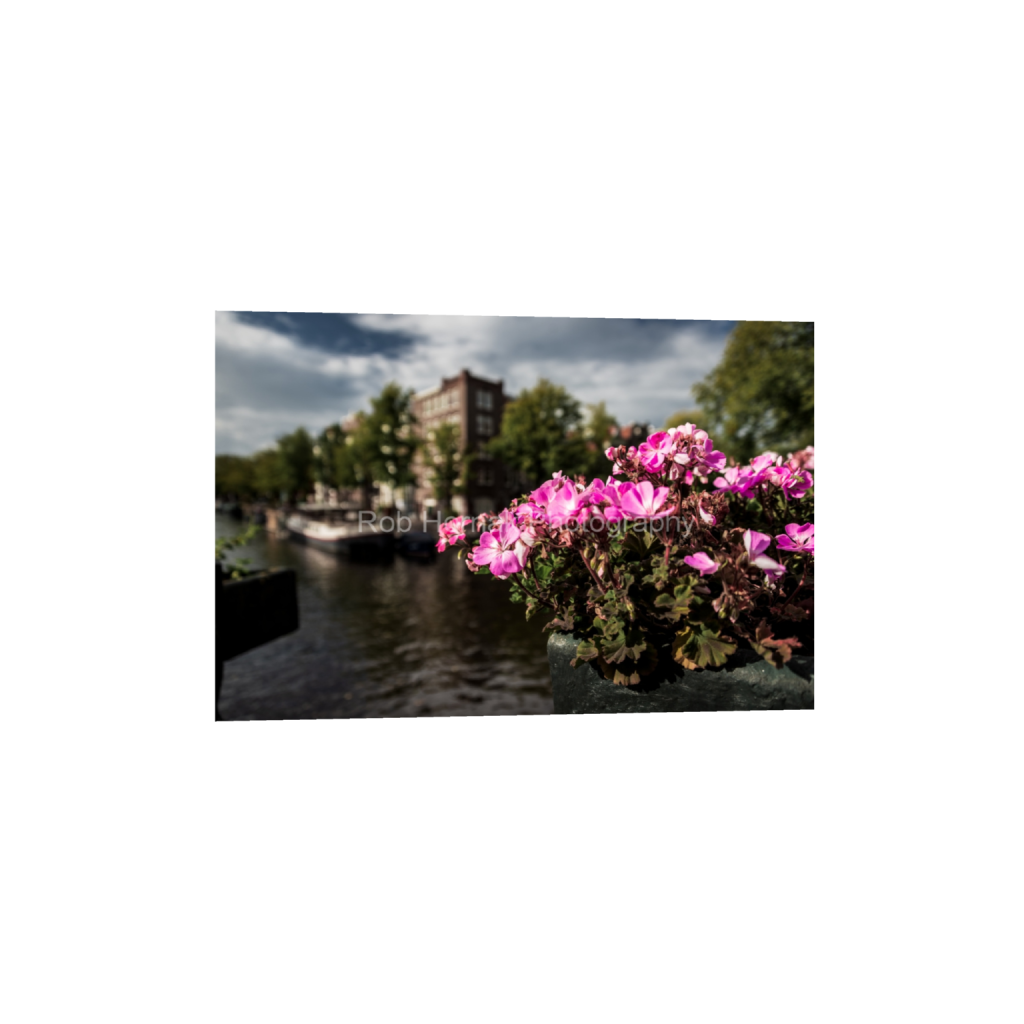 ptq_1_3_0_2_6016_4010_0_false_ffffff_0_0_f13a2da995ce1a48577f6a9d493e8a10.png