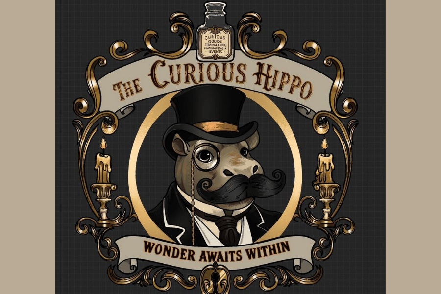 in-person readings @the curious hippo
