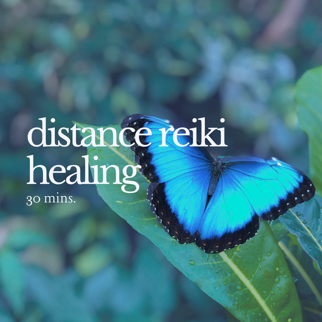 A vibrant blue butterfly on a green leaf with blurred green foliage background, with text overlay about a 30-minute distance reiki healing session.