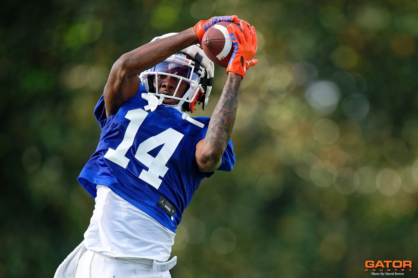 Photos of the @gatorsfb defense from the first three days of spring practice. Who are you most excited to see out there this year? #defense #gators #gatorsfootball #gatornation #bestofgainesville #sportsphotography