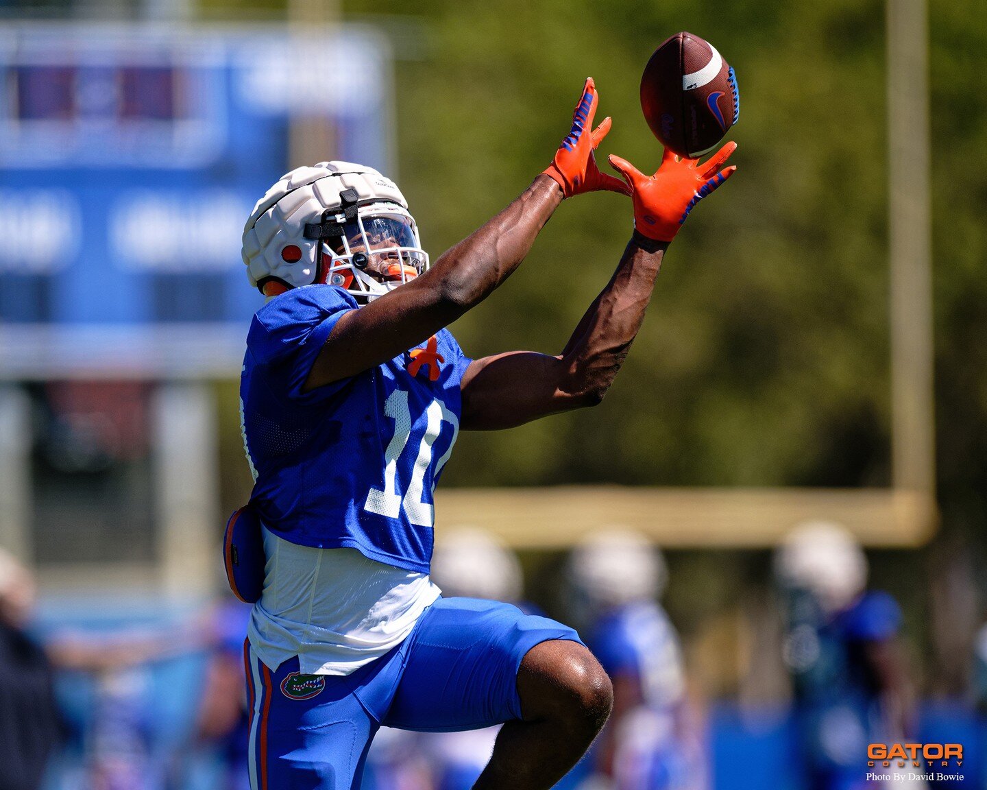 Few photos from today's @gatorsfb spring practice! #gatorsfootball #springpractice #gogators #gatorcountry #footballphotography