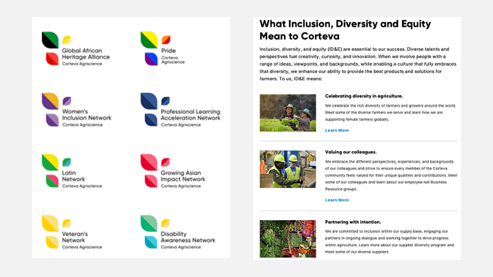 Brand Systems | DEI | Business Resource Group Identity
