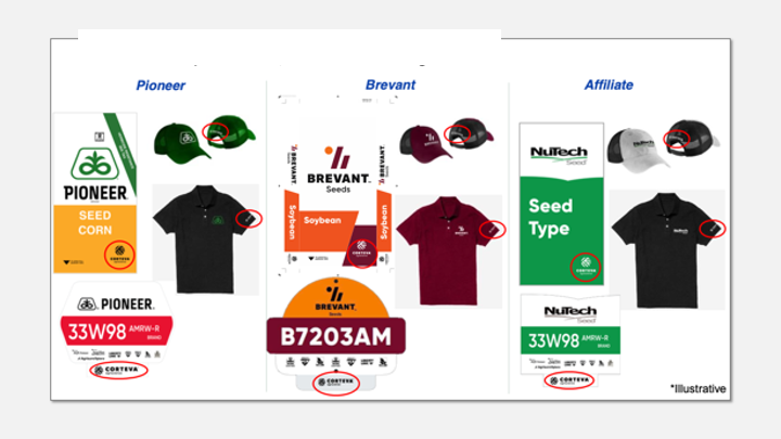 Corporate | Commercial Brand Hierarchy