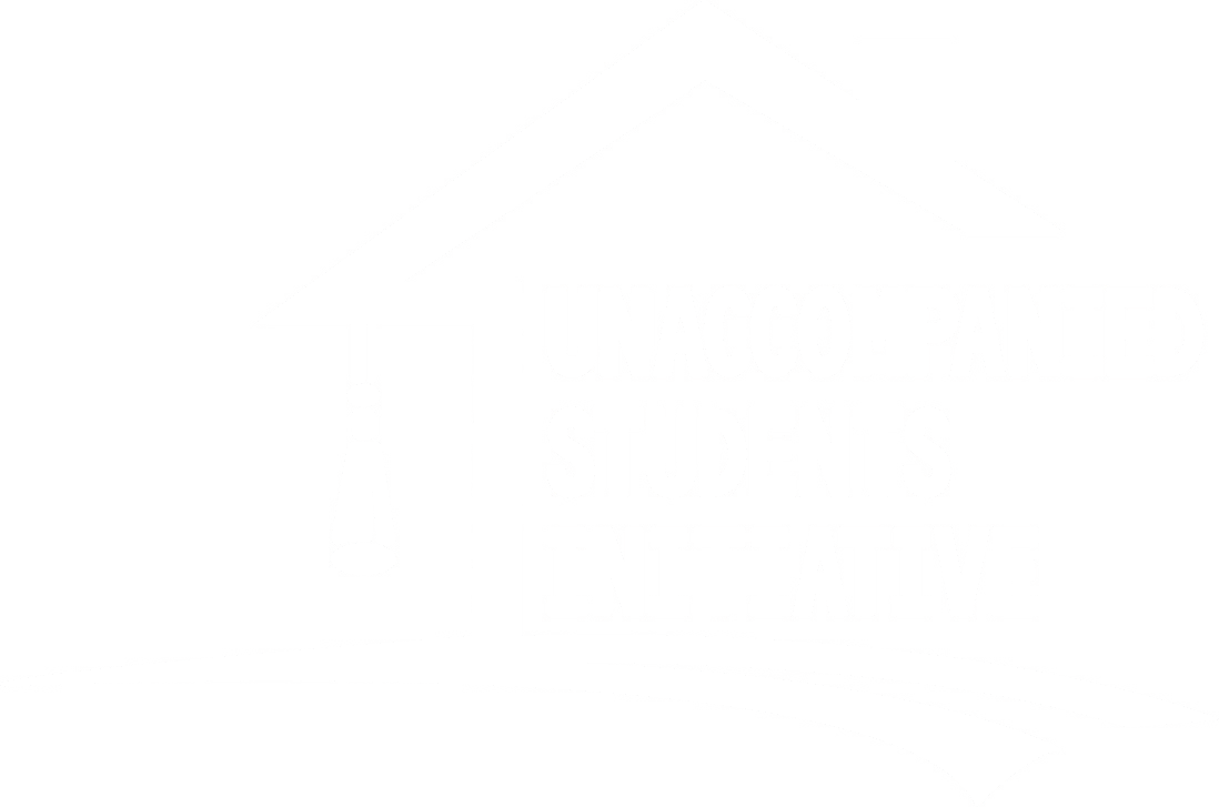 Unaccompanied Students Initiative