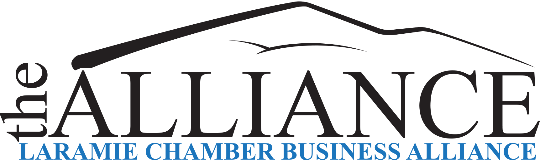 About the Organization — Students Initiative