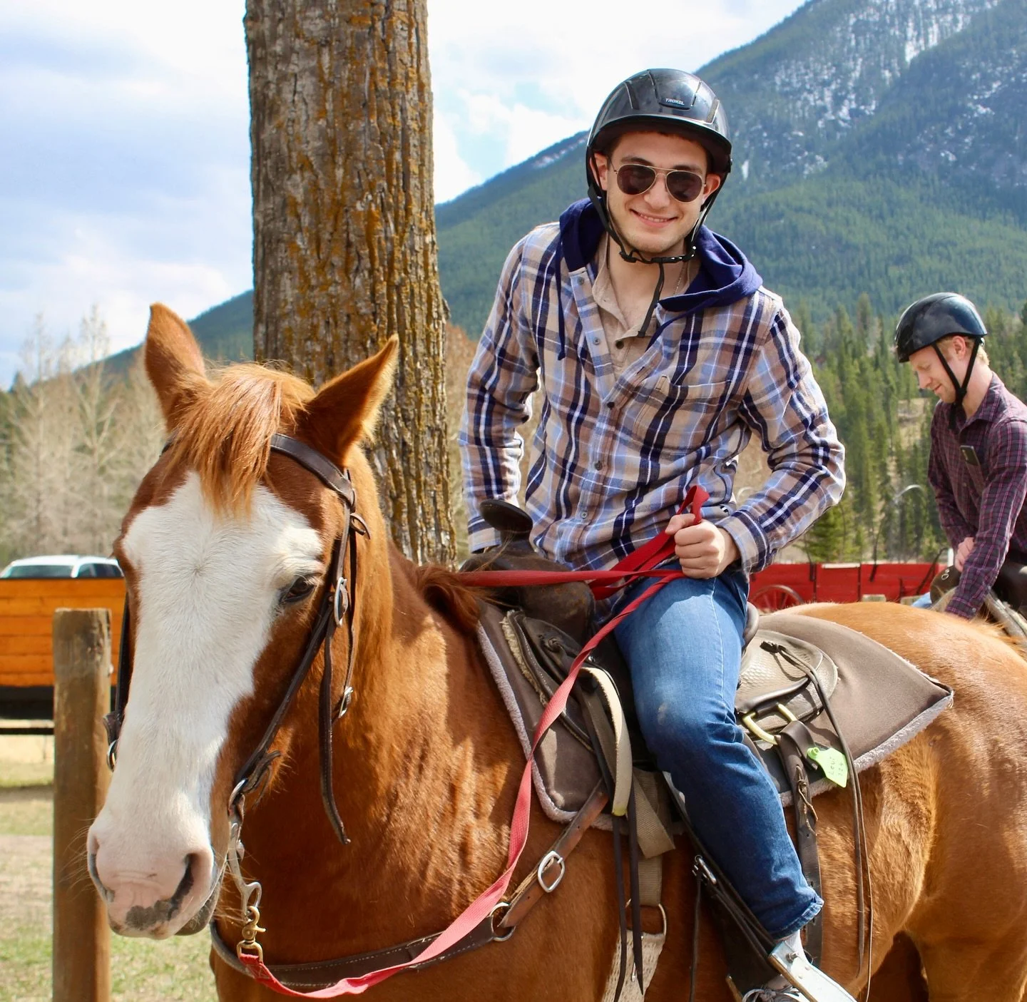 Your unemployed friend on a Tuesday at 2pm