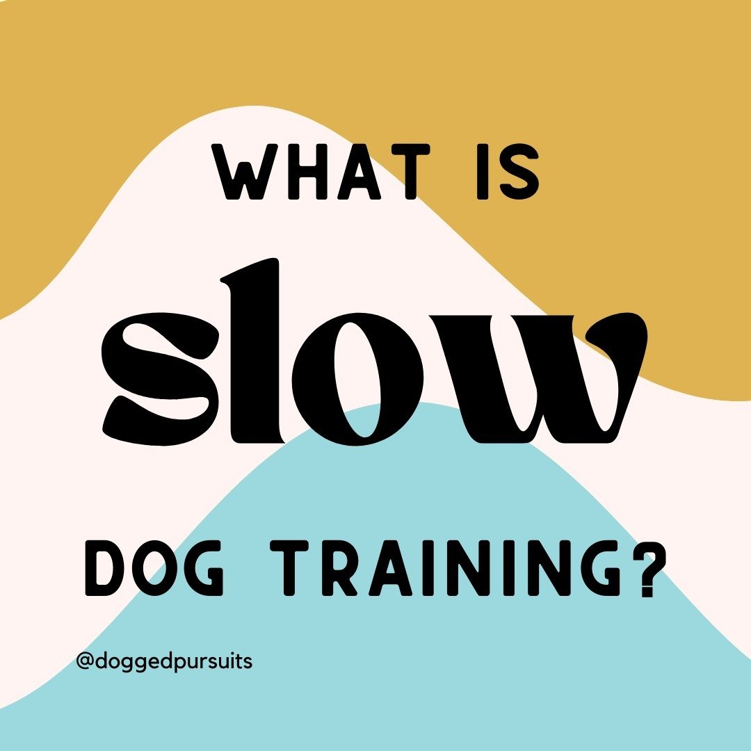 In a world where &ldquo;scientific&rdquo; studies are giving dogs a mere 5-days to learn advanced behaviors and making unfounded, grandiose statements about animal welfare, I&rsquo;m here to normalize&mdash;and revitalize&mdash;the #slowdogtraining m