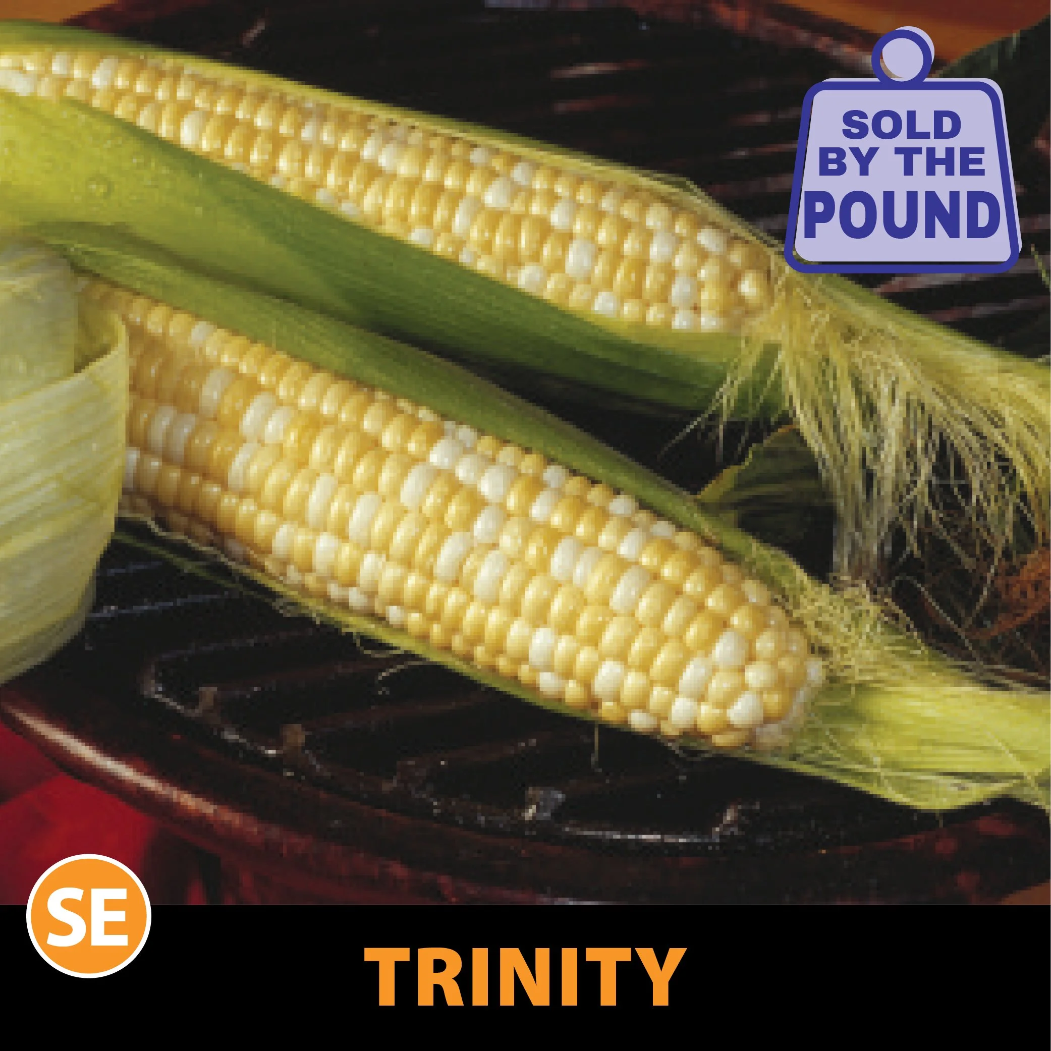 Trinity Sweet Corn