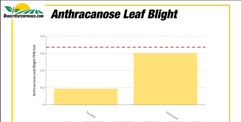Graph showing anthracnose leaf blight severity in treated versus untreated soil with higher levels in untreated soil
