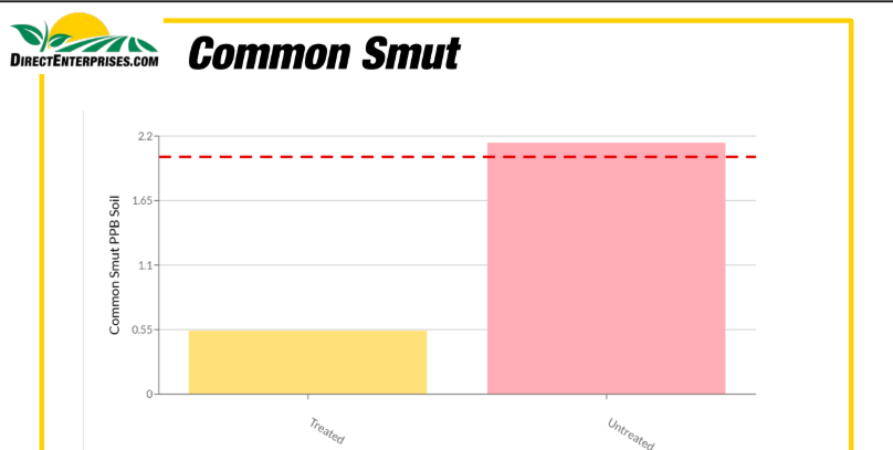 Bar chart comparing Common Smut PPB Soil levels in treated and untreated soil, with untreated soil showing higher levels.