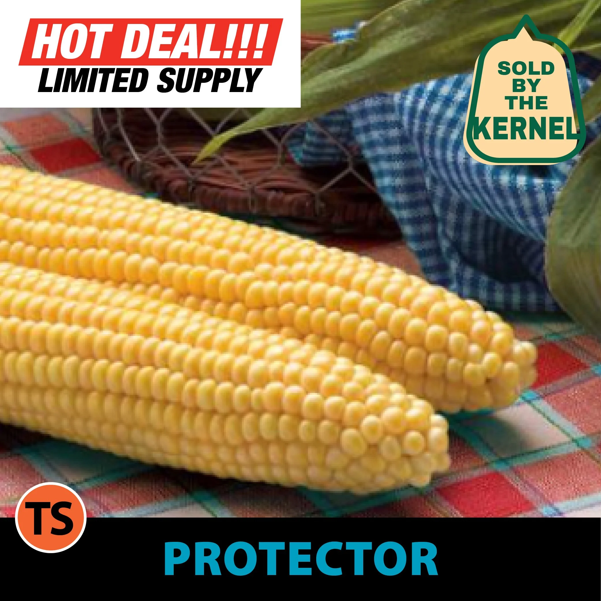Protector Sweet Corn