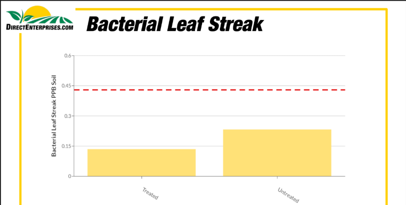 Bar graph comparing bacterial leaf streak levels in treated and untreated plants, with untreated showing higher levels, from DirectEnterprises.com.