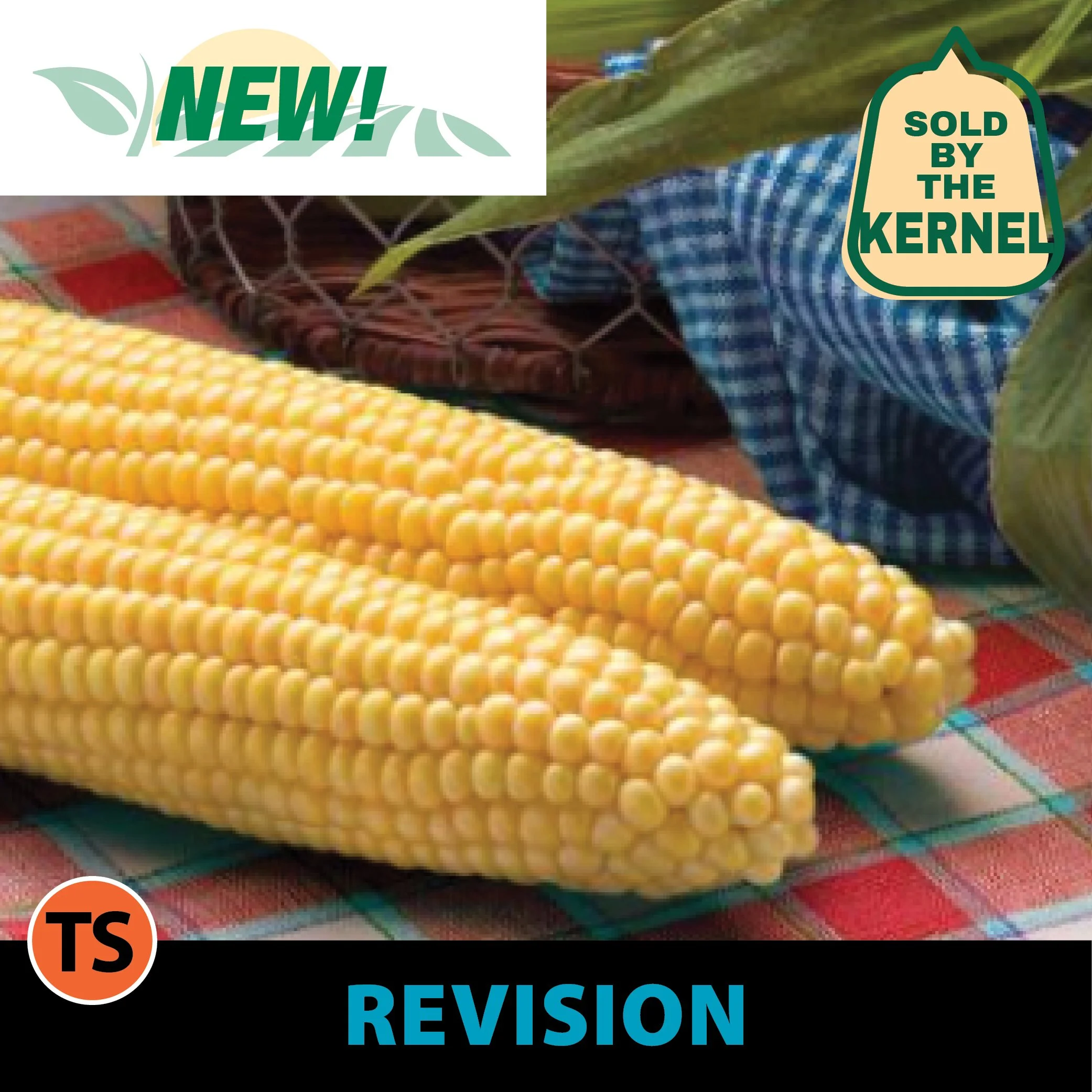 Revision Sweet Corn