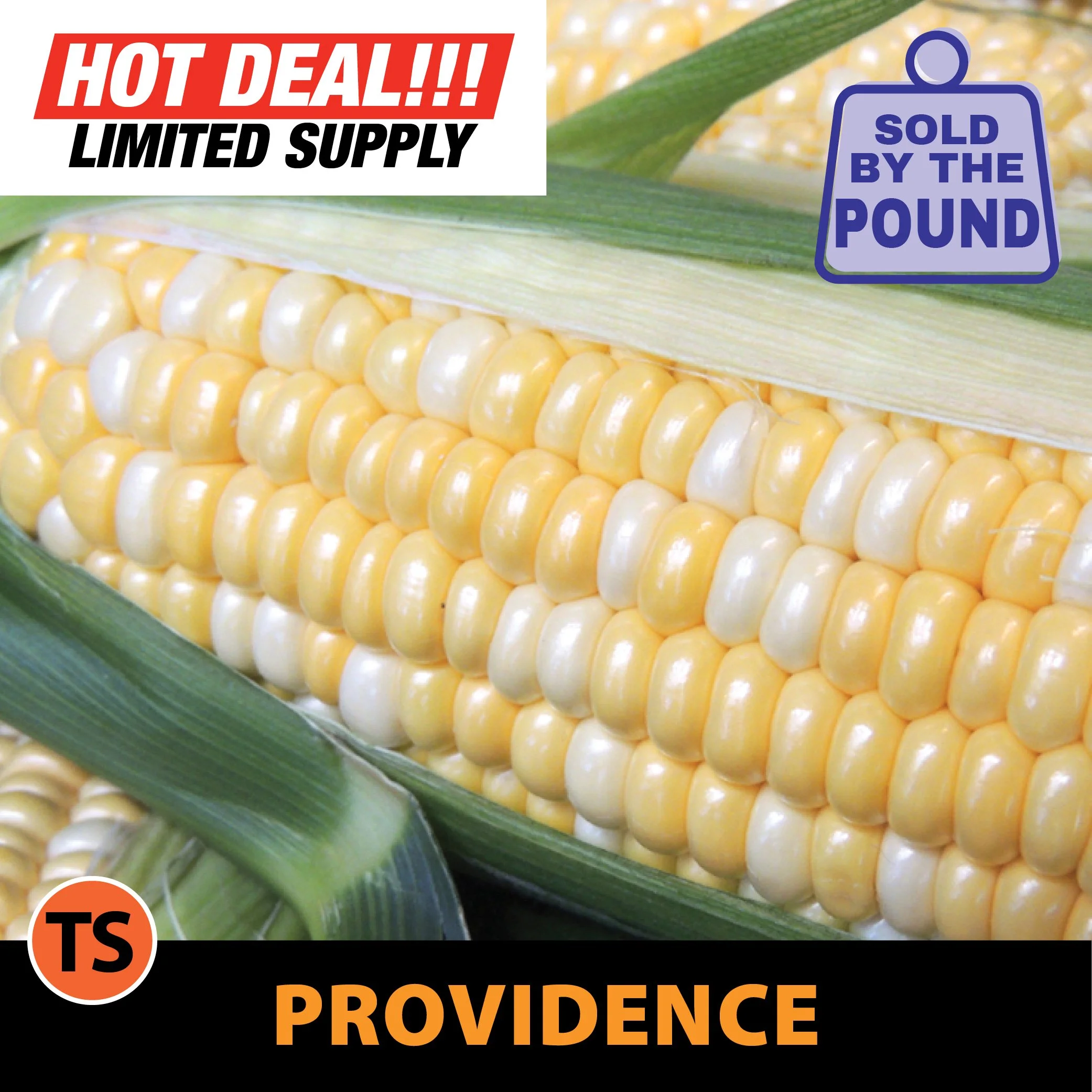 Providence Sweet Corn