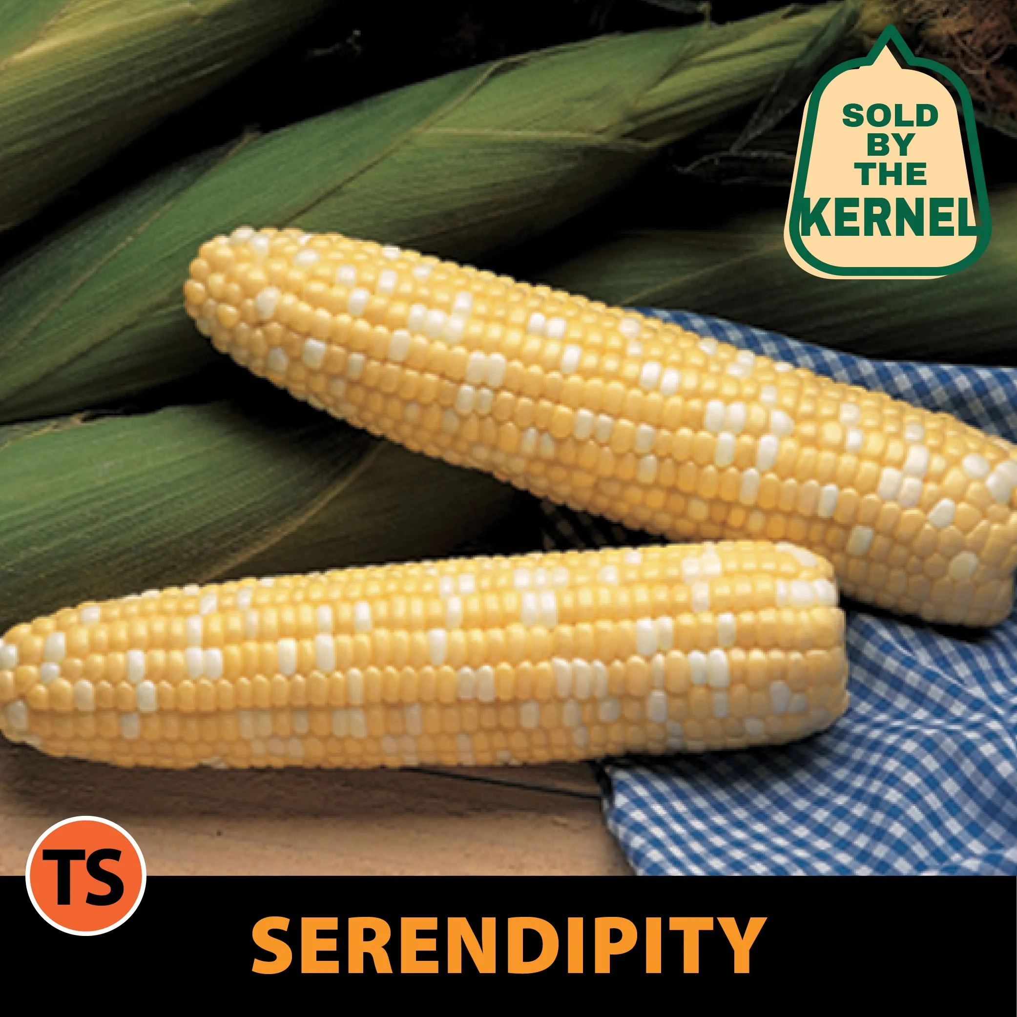 Serendipity Sweet Corn