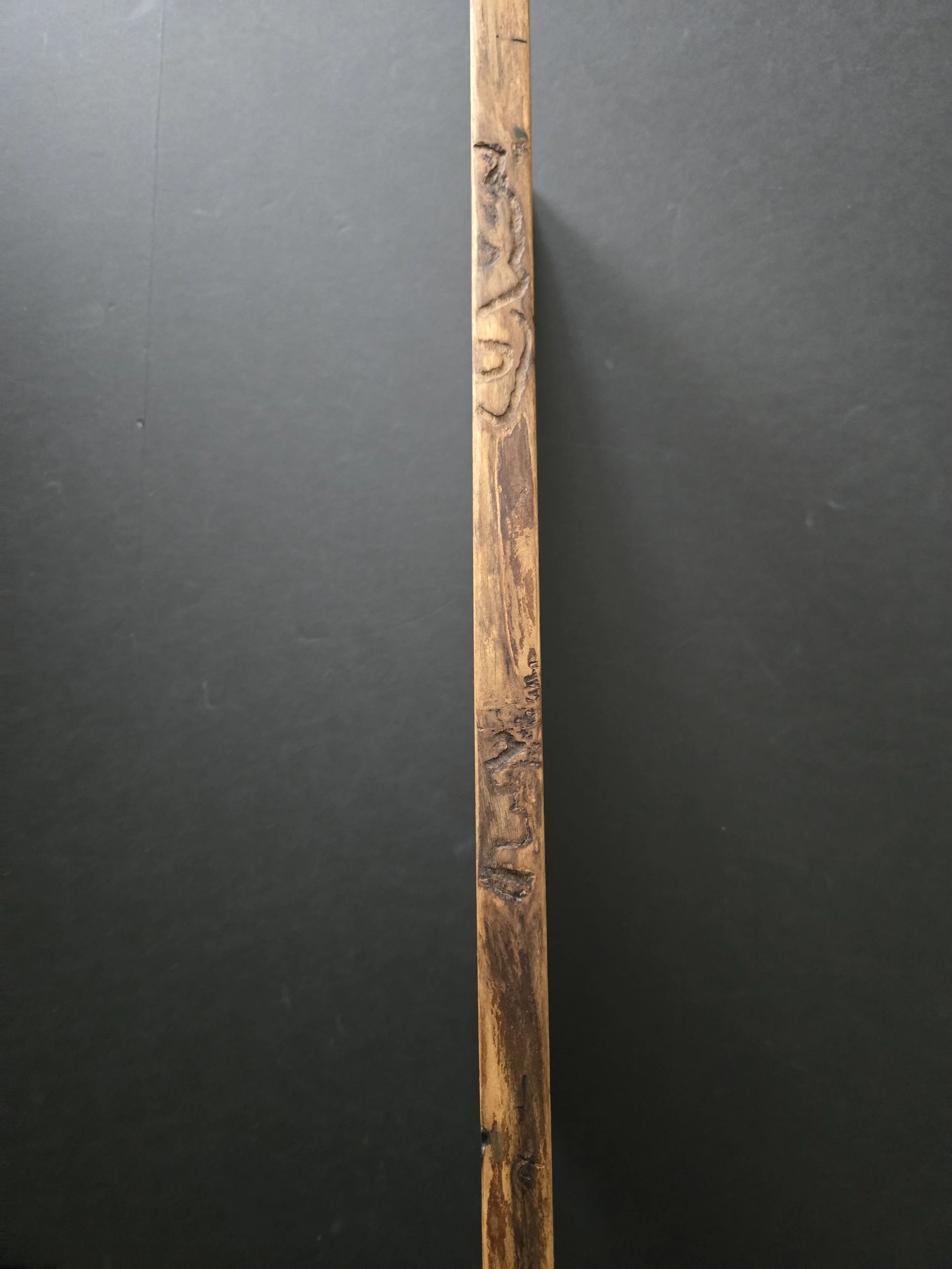 2026-01-22 12.55.29.jpg