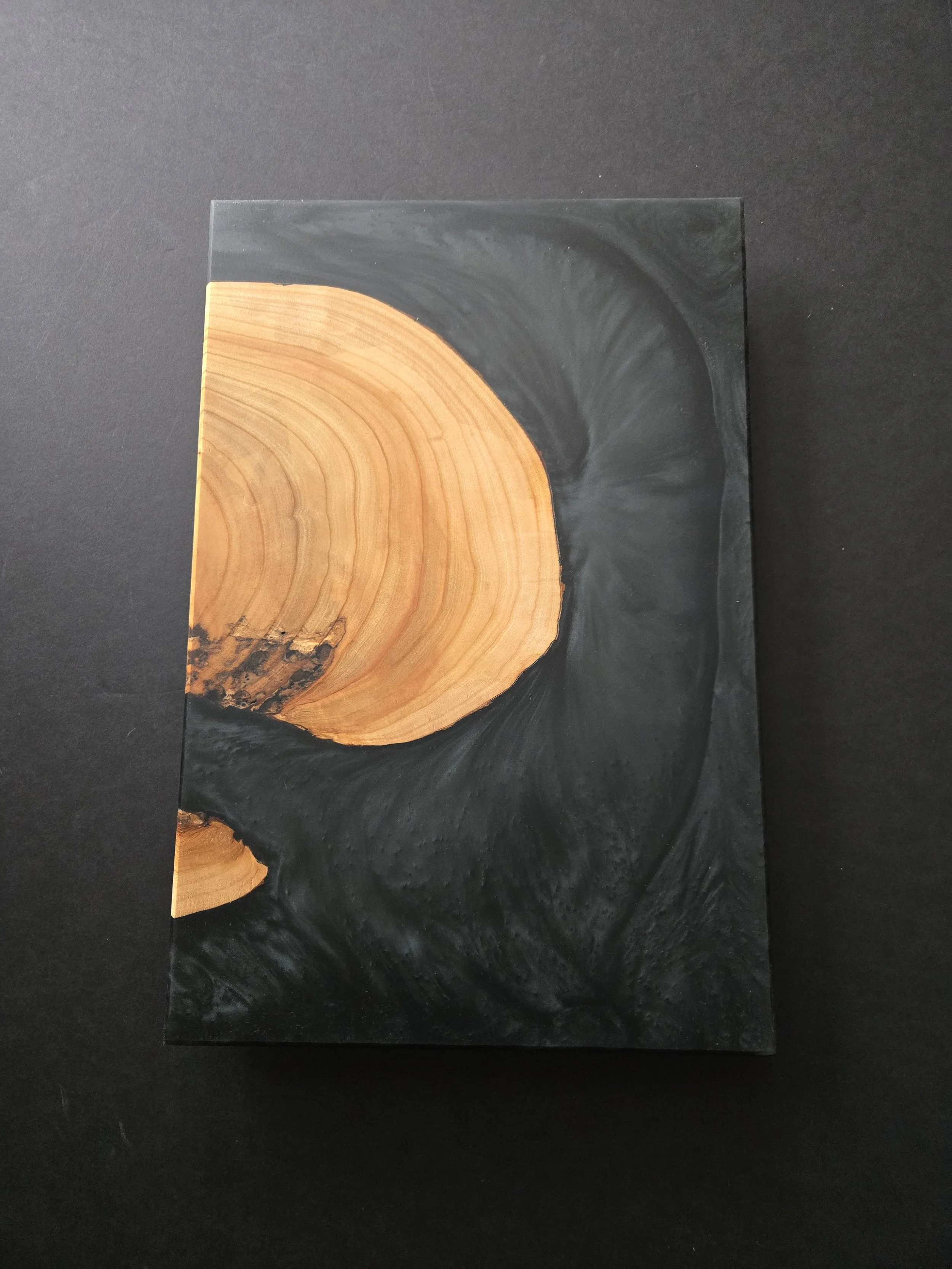 2026-01-22 12.42.01.jpg