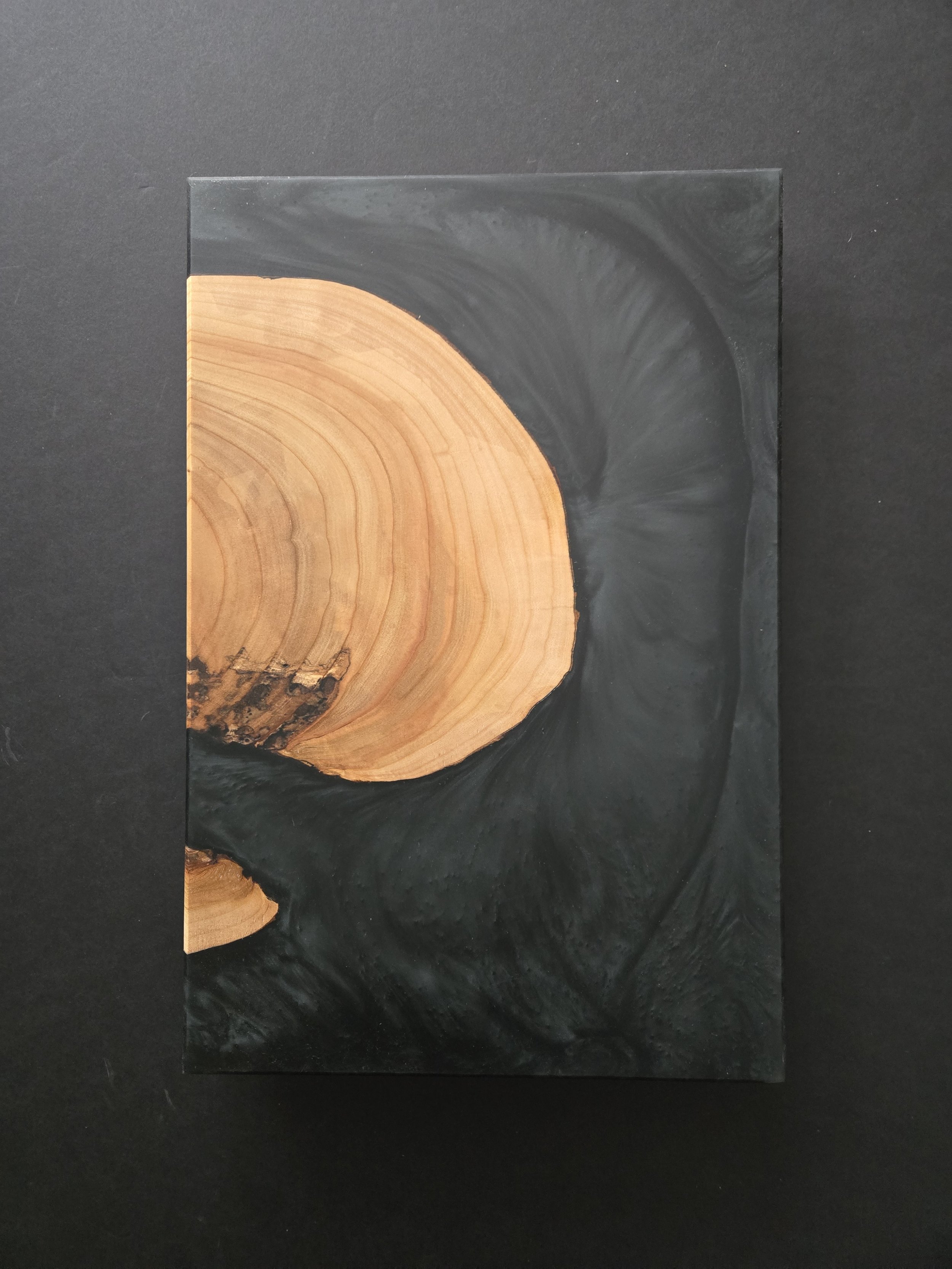 2026-01-22 12.42.41.jpg