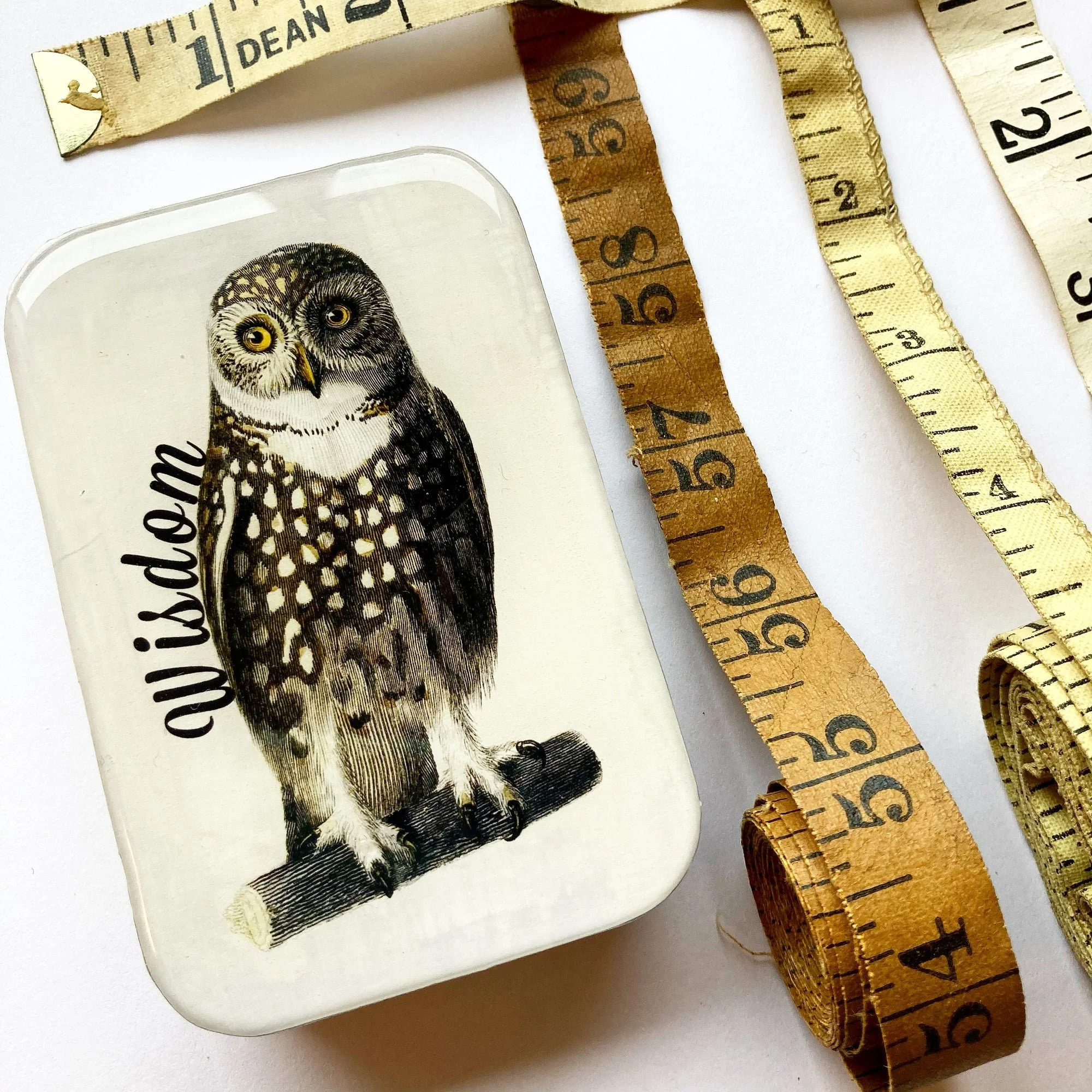 Firefly Notes - WISE OWL Notions Tin (Small)