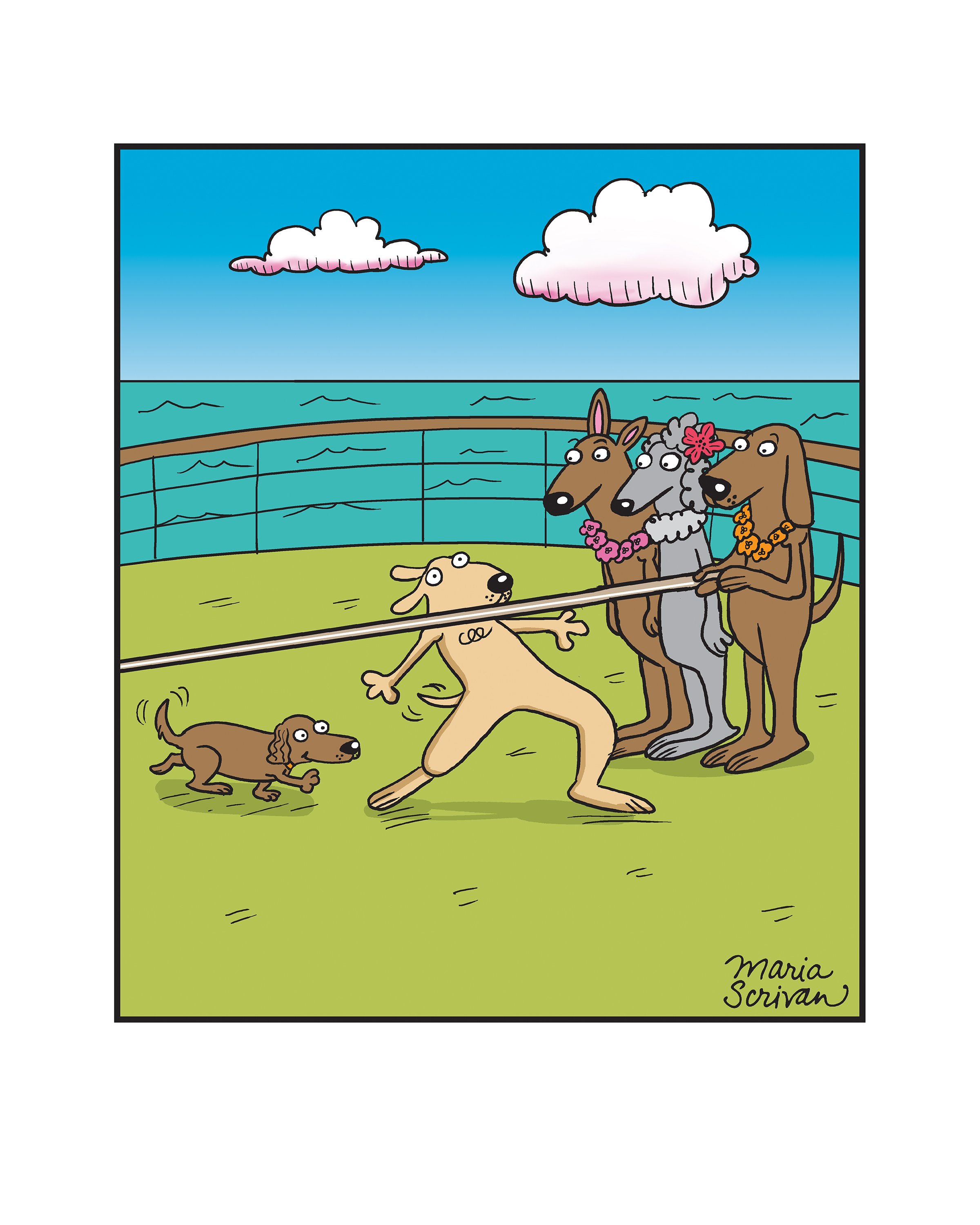 Dachshund Limbo Print
