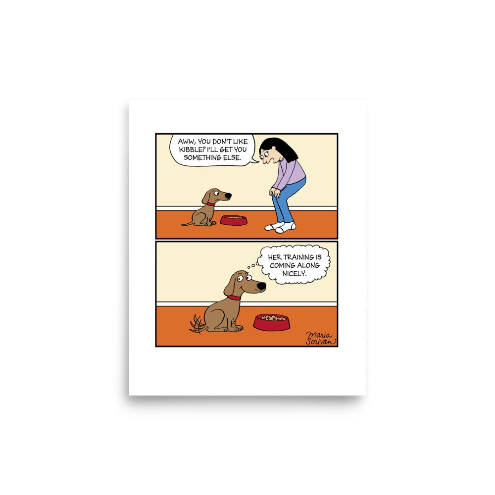 enhanced-matte-paper-poster-(in)-8x10-front-66aab4ee17e8b.jpg
