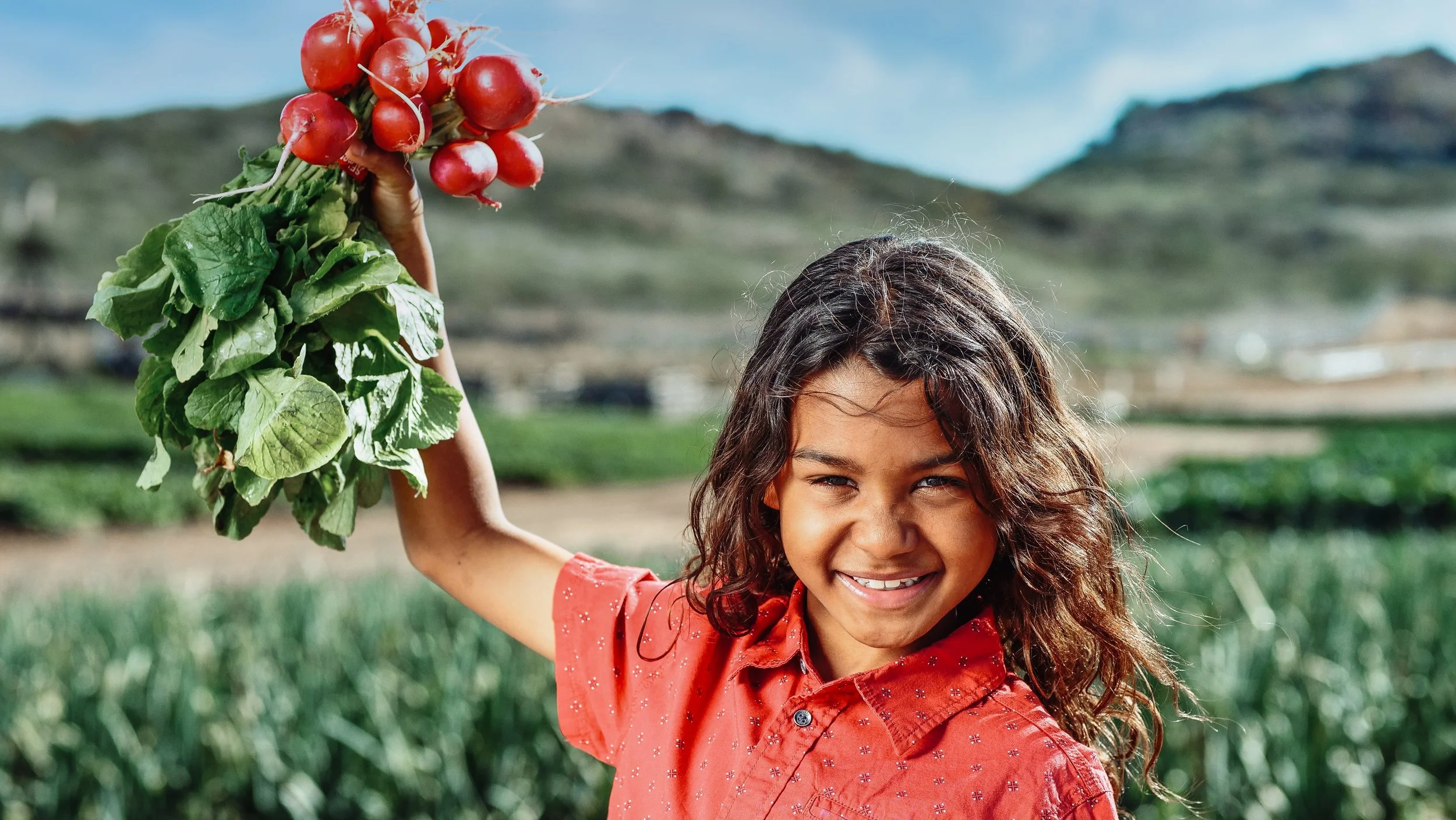 KBlog 52: Radish Seeds for Students of All Ages at Home or School