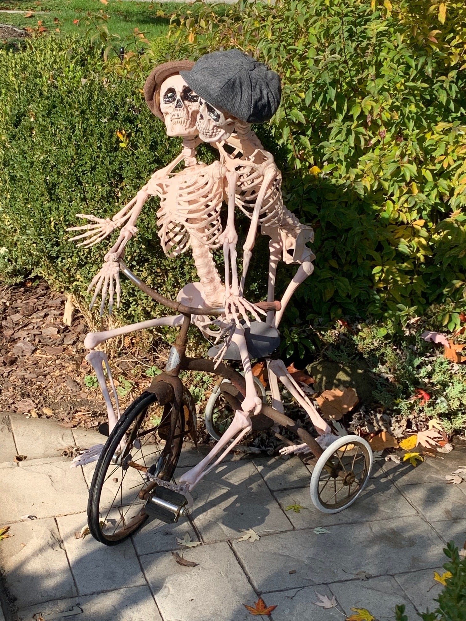 122763904_3475365339152051_1445325086988700994_n.jpeg