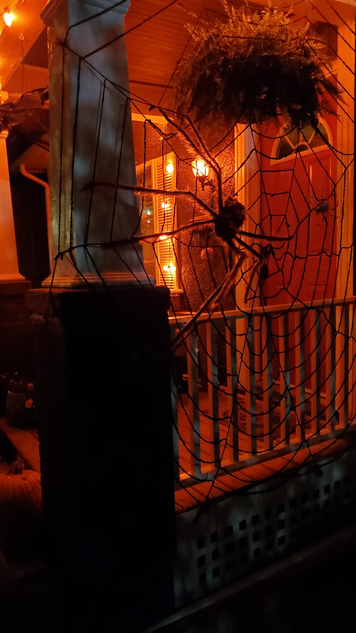 122885827_3477590485596203_1118293975134449194_n.jpeg
