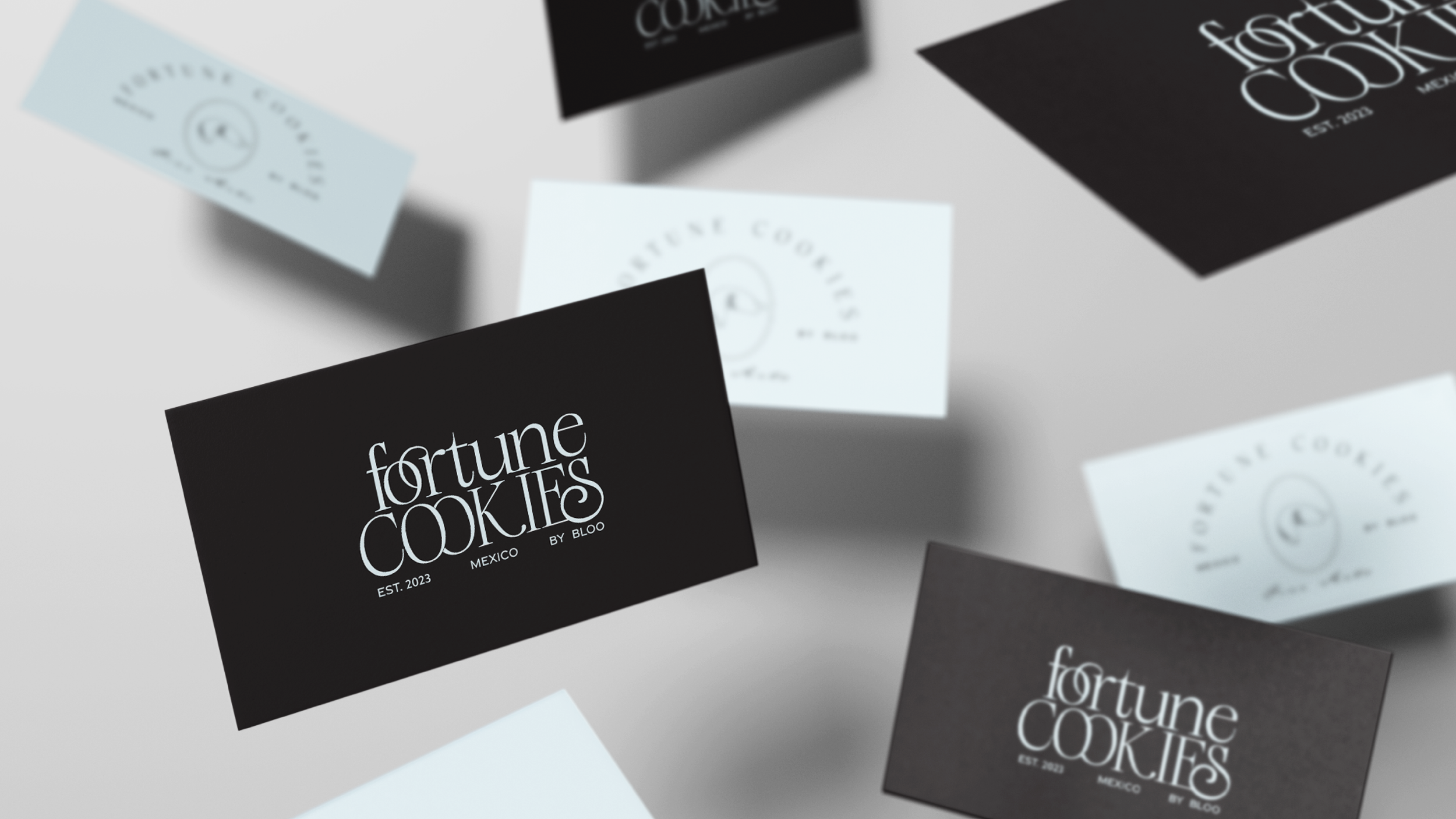 portafolio FC-06.png