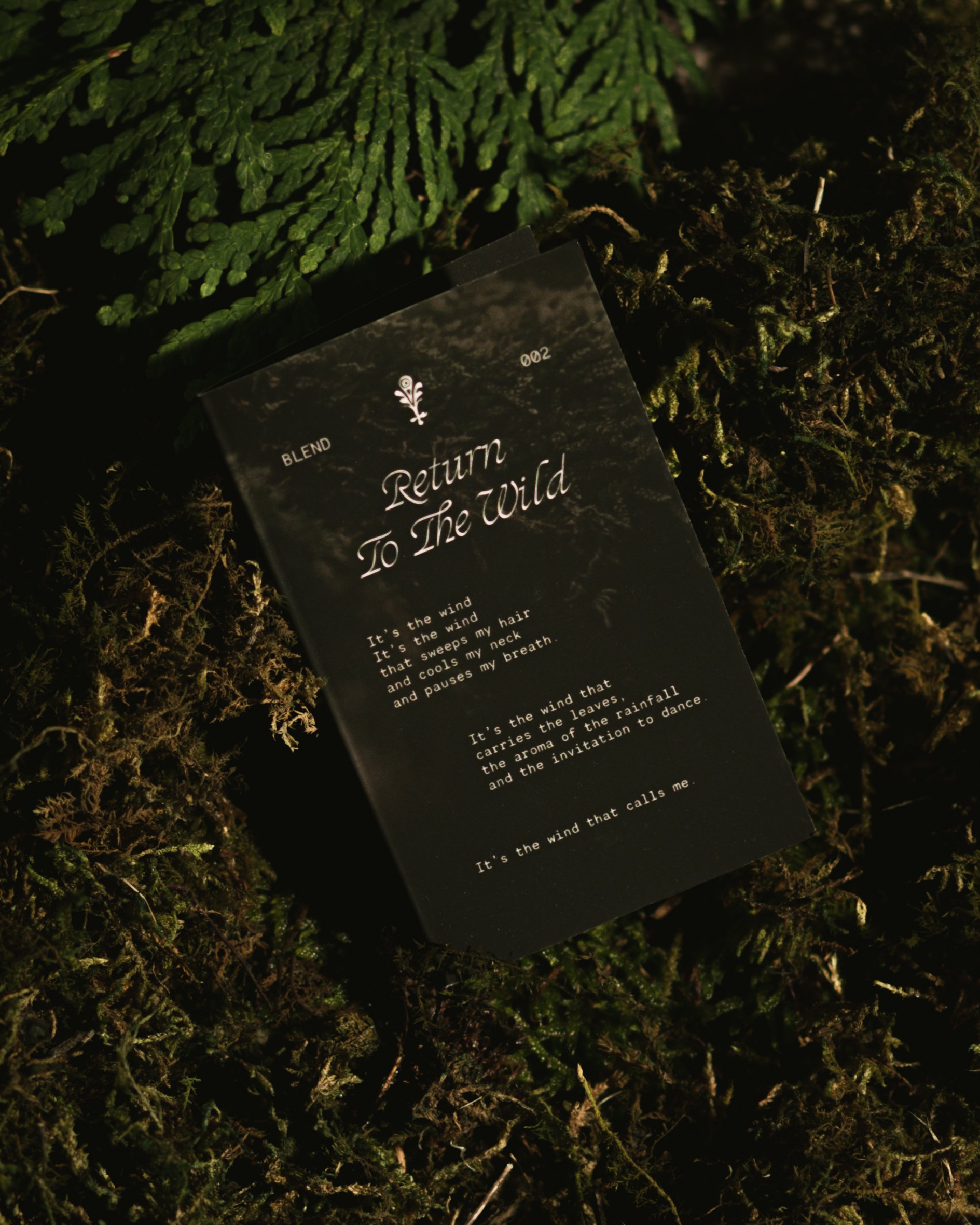 SALVAJE-2.jpg