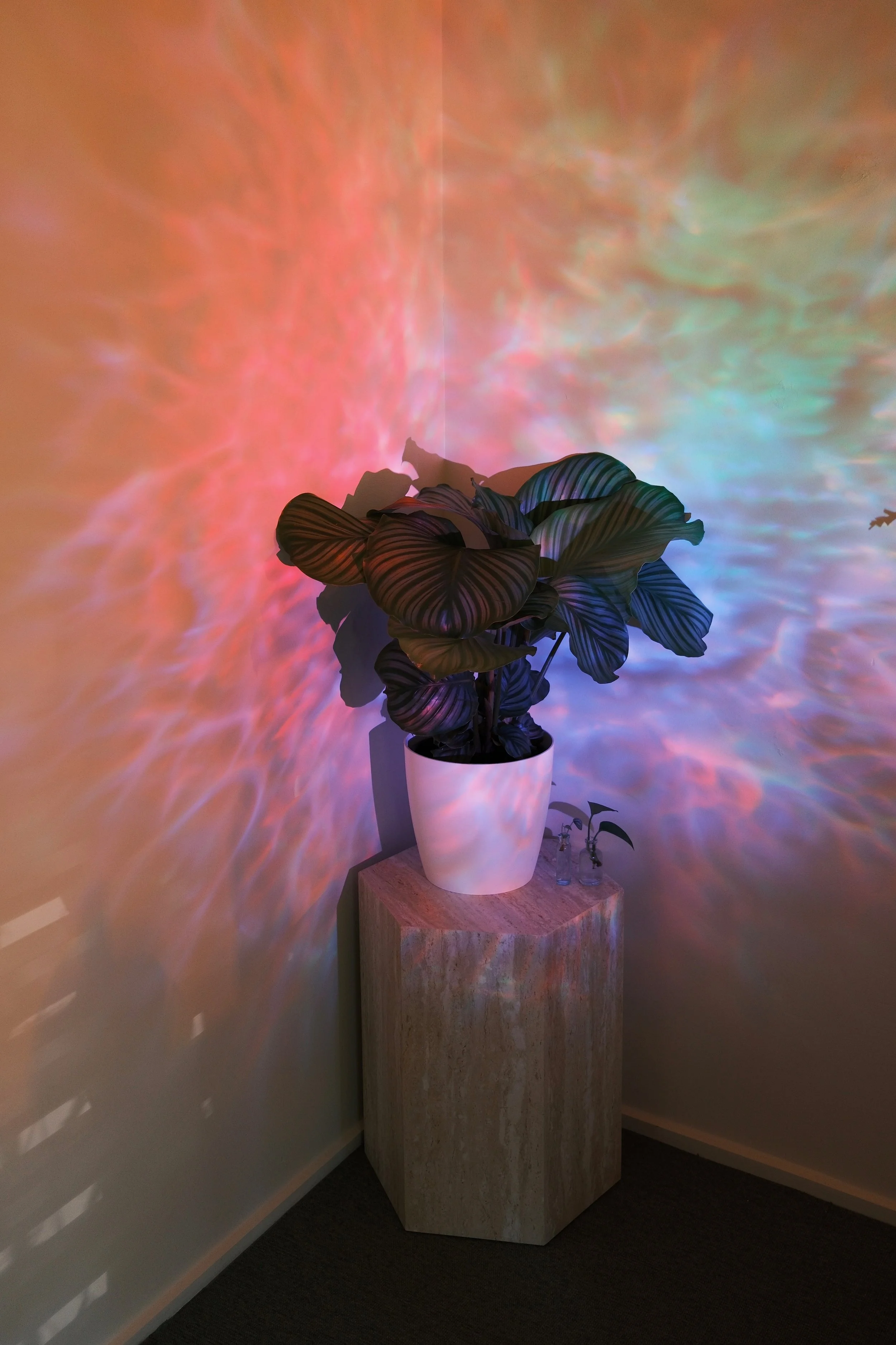 Do I Have AuDHD? Understanding Autism and ADHD in Adults