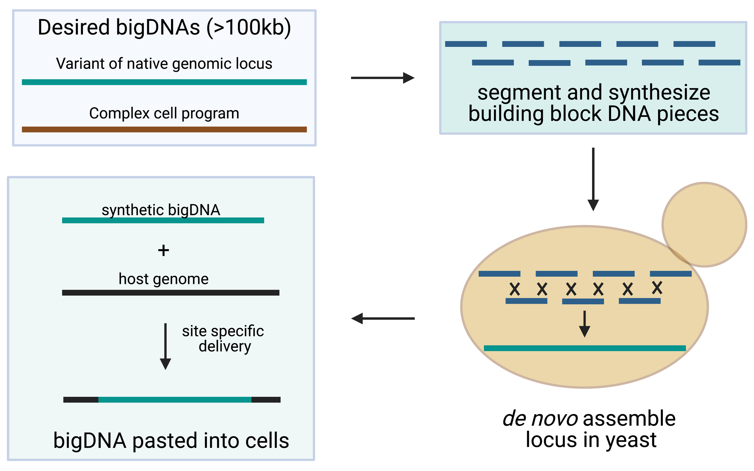 Science — Sudarshan Pinglay