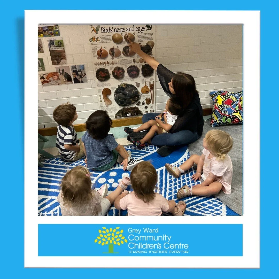 As you may have heard about (or seen) Nursery have some new friends. 🐣
Some chicks, 2 guinea pigs and some hatching eggs! Nursery are exploring all things pets this term and what better way to do so then have some pets of their own. 
We have all bee