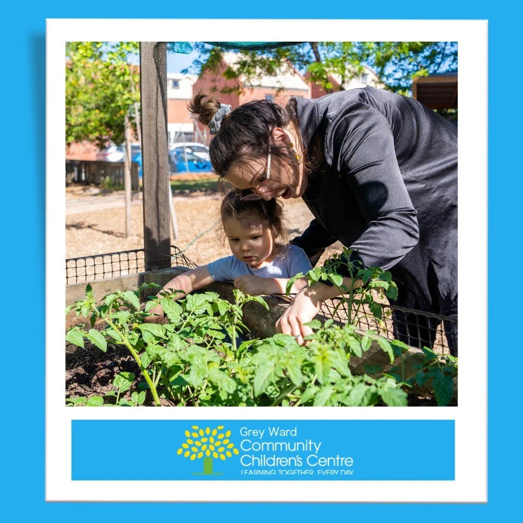 Here at Grey Ward we are very proud of the sustainability practices we implement around the centre. Our veggie garden beds play a big part in this and the children love seeing the various stages of planting, growing and harvesting the produce.