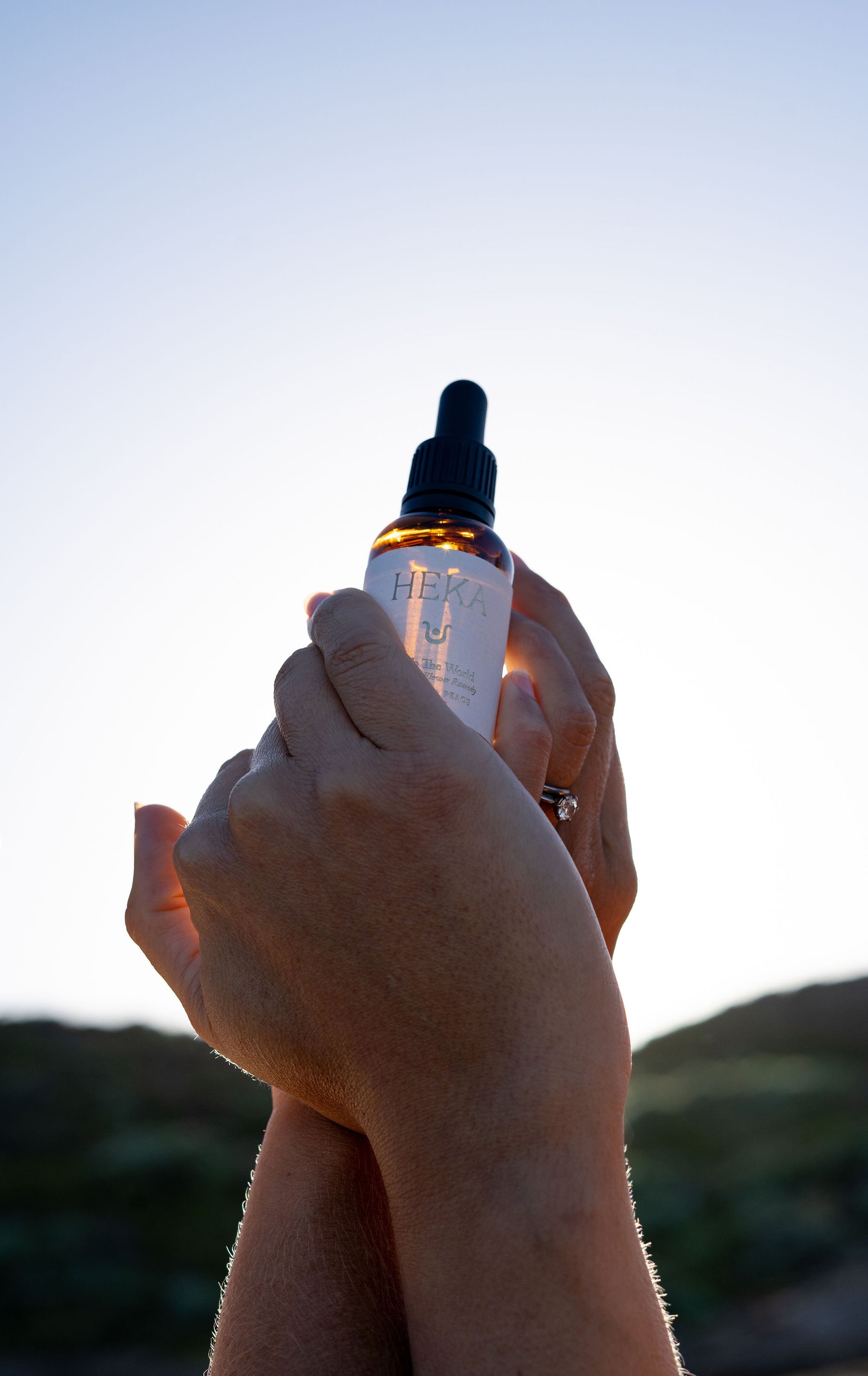 JOY TO THE WORLD REMEDY | Conflict Resolution & Collective Harmony