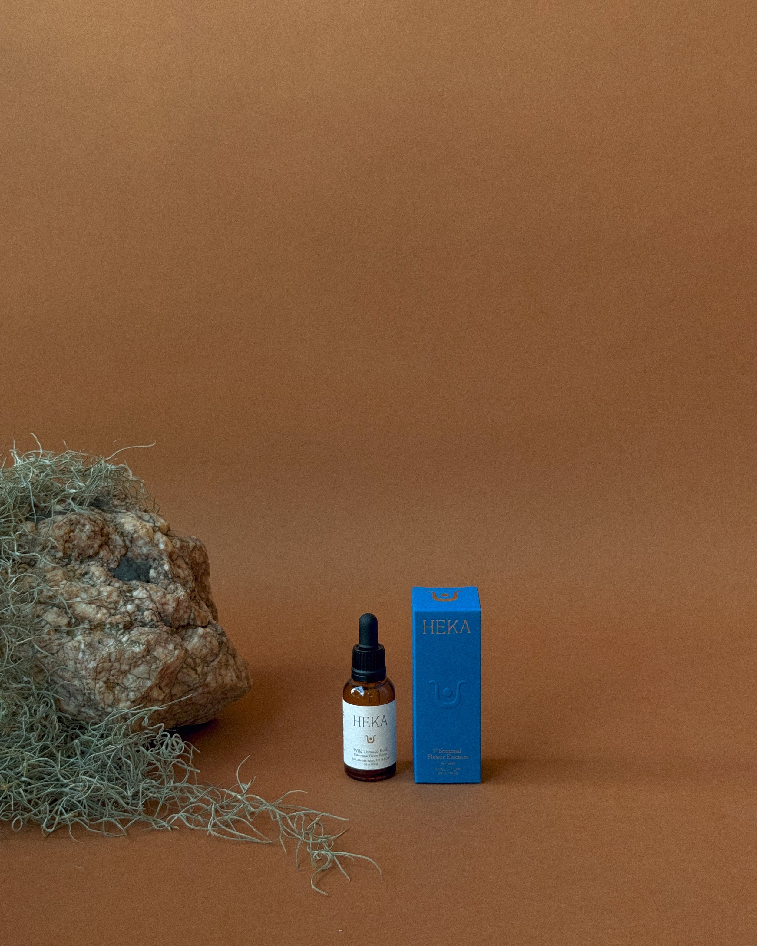 WILD TOBACCO BUSH BOX.jpg