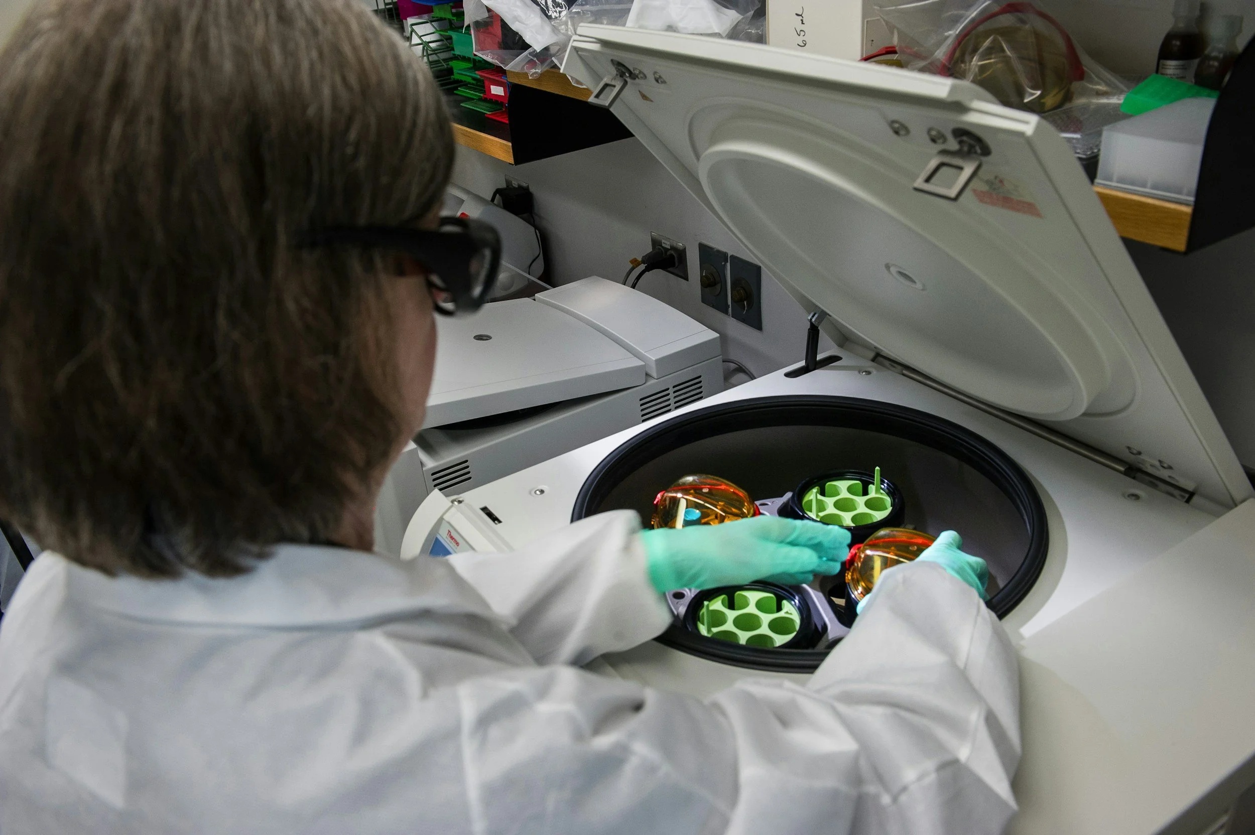 Harvard scientists create neural implants to study brain development