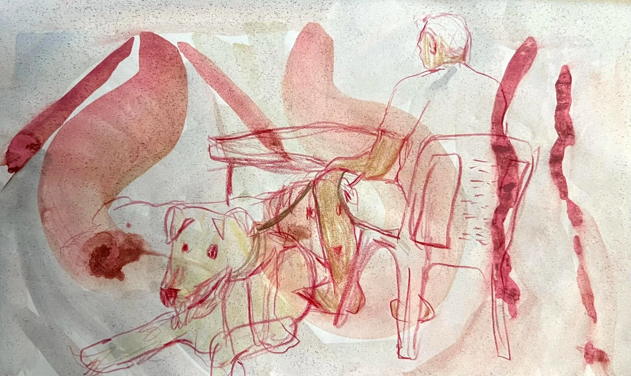 Market Dog (Knowledge), 2024, Watercolour and coloured pencil on paper, 13 x 21cm, $30.00