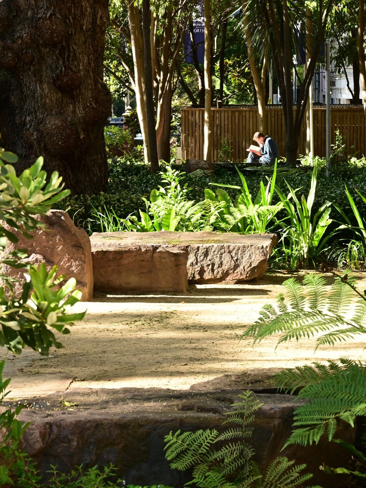 DSC_5967.jpg