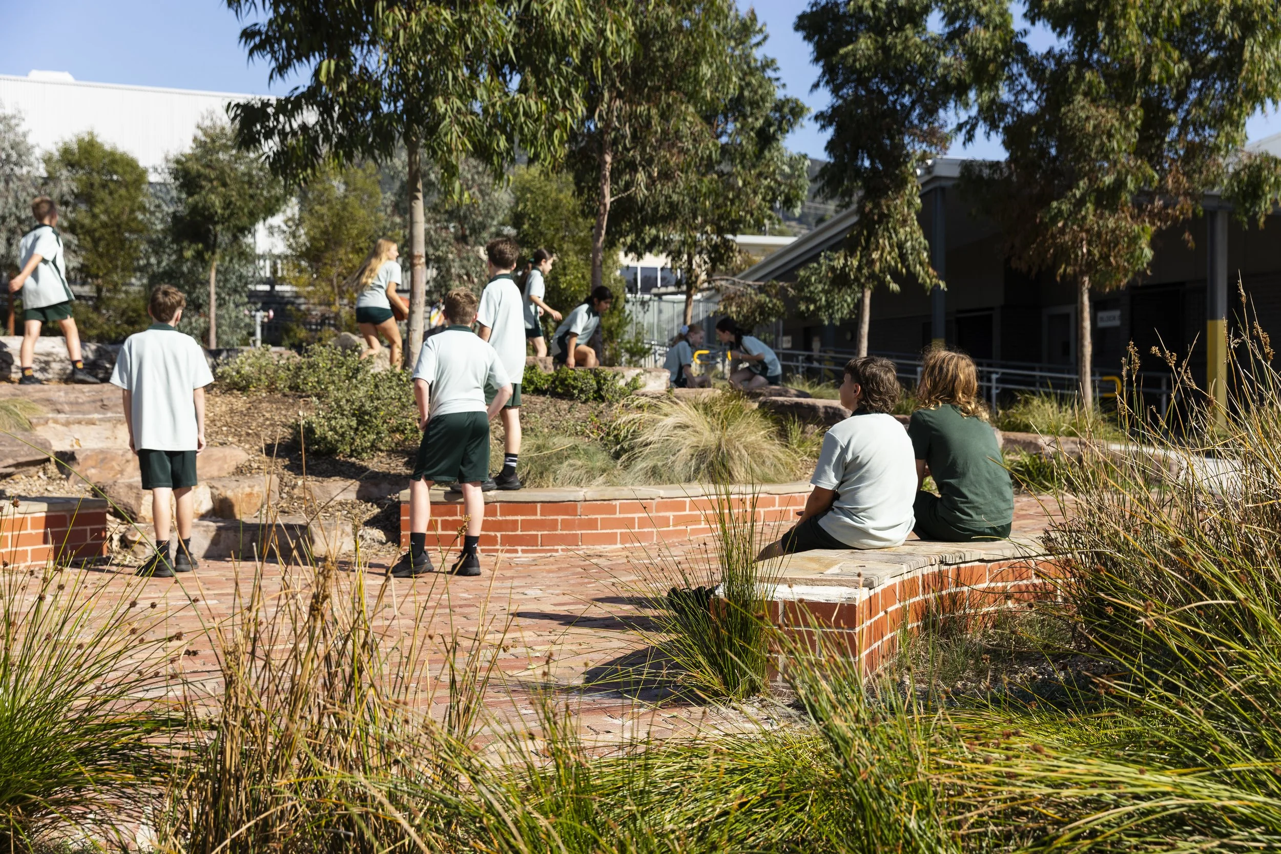 Dromana_PS-5.jpg