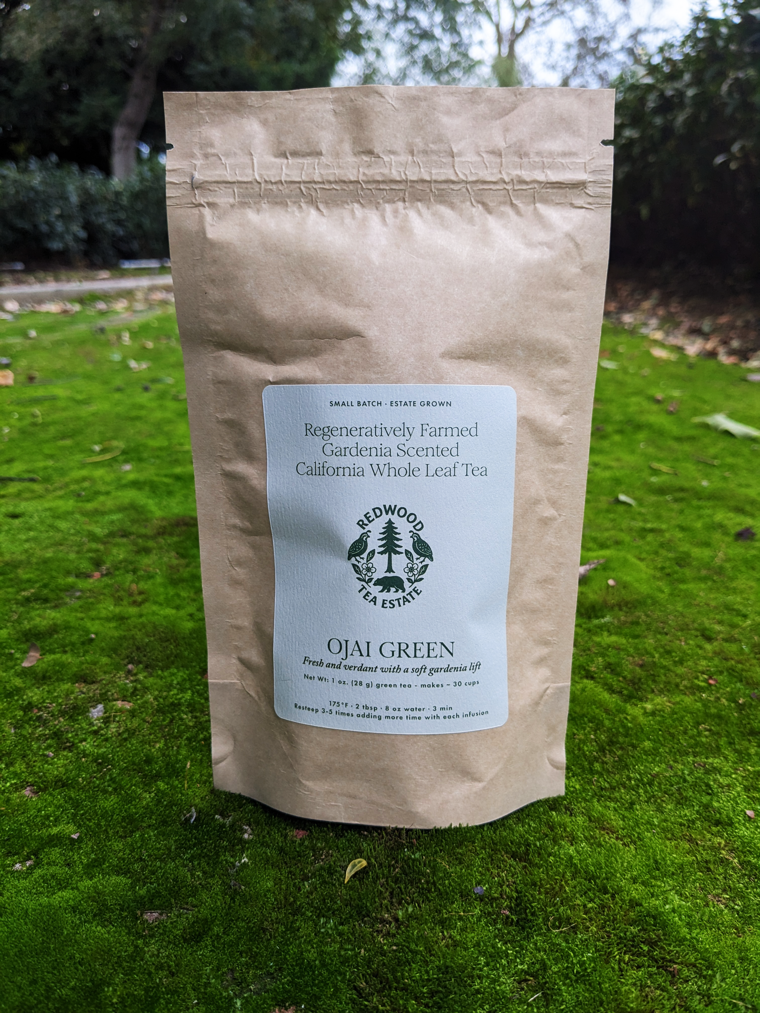 OJAI BAG.png