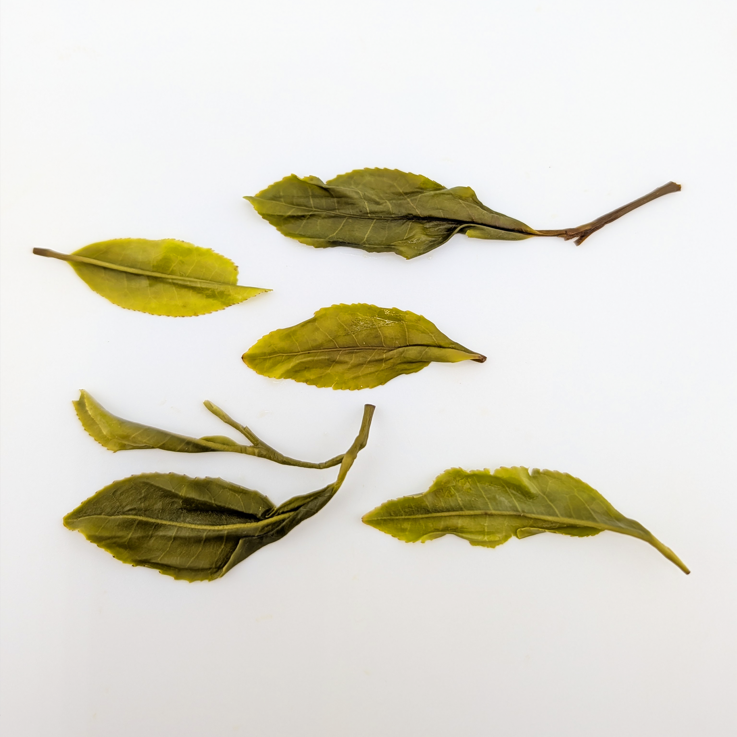 Manzanita Hojicha