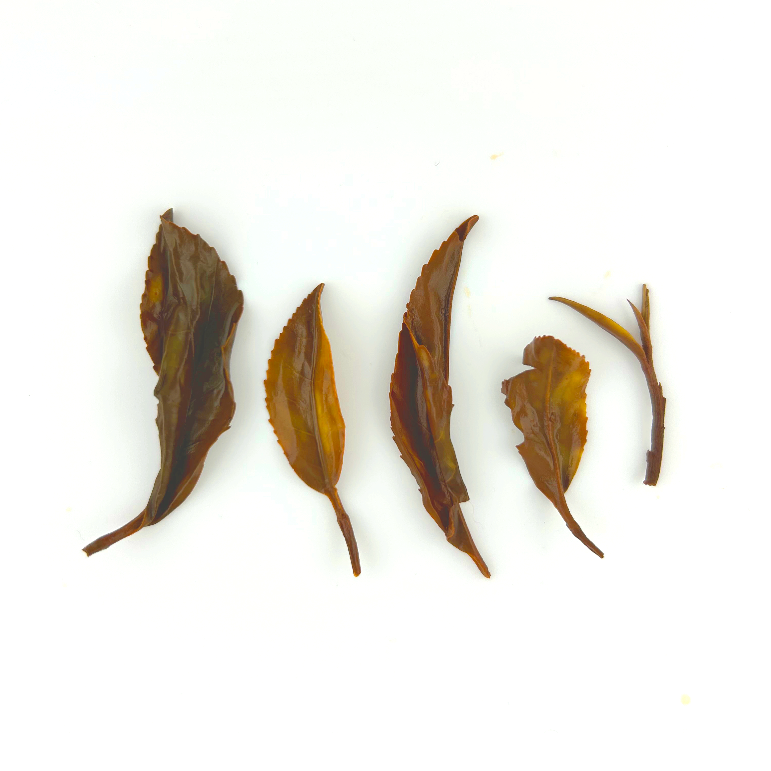 Sequoia Red Tea