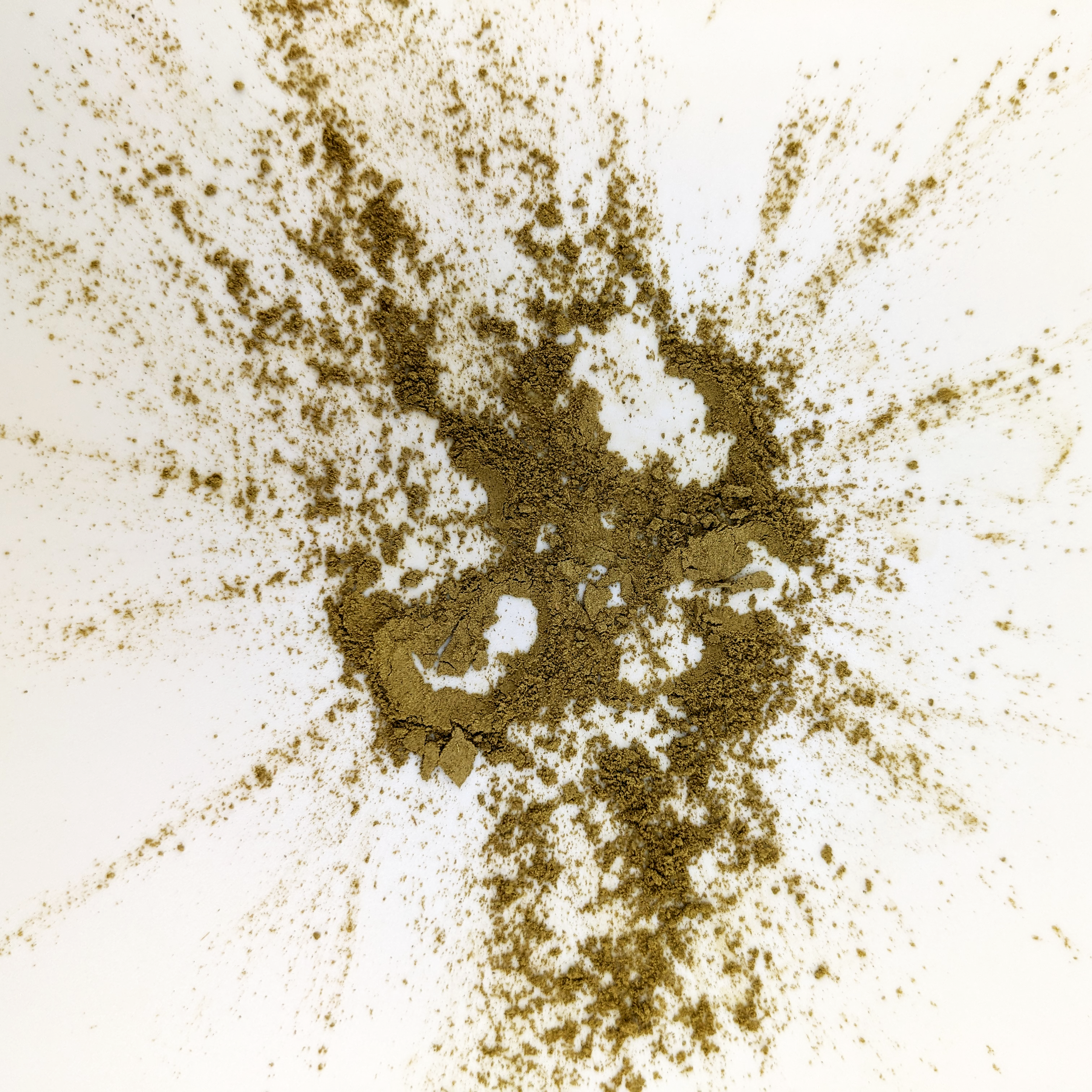 HOJICHA EXPLODE ZM.png